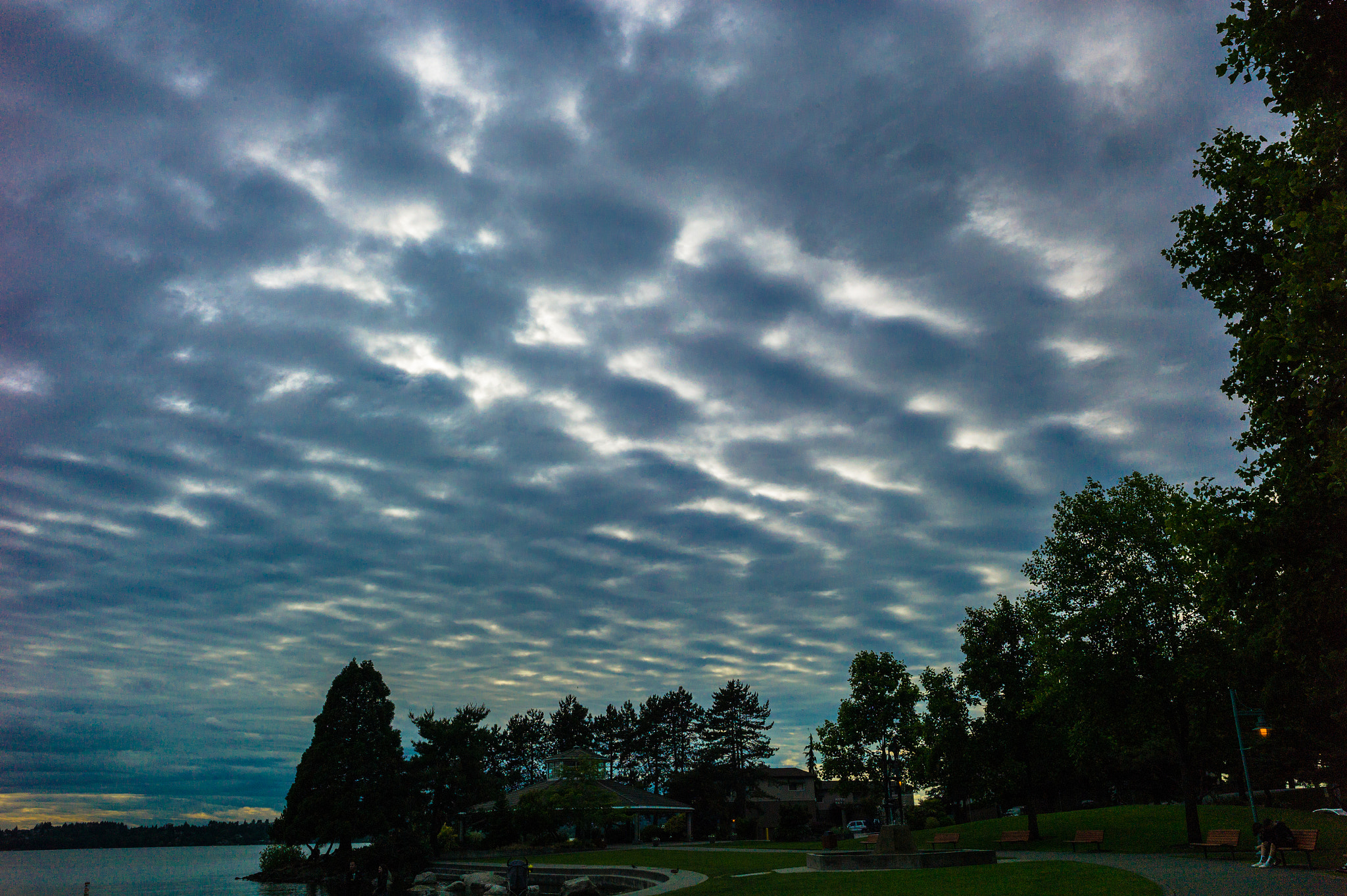 Leica M9 + Elmarit-M 28mm f/2.8 (IV) sample photo. Sora kirkland, wa photography
