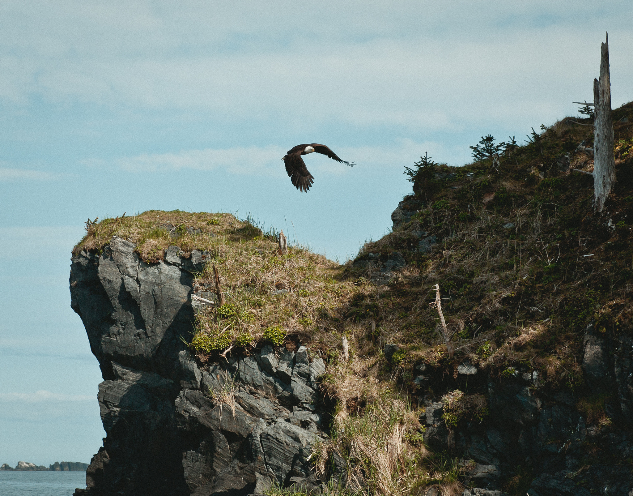 Canon EOS 5D + Canon EF 85mm F1.2L II USM sample photo. Fort abercrombie state park, alaska photography