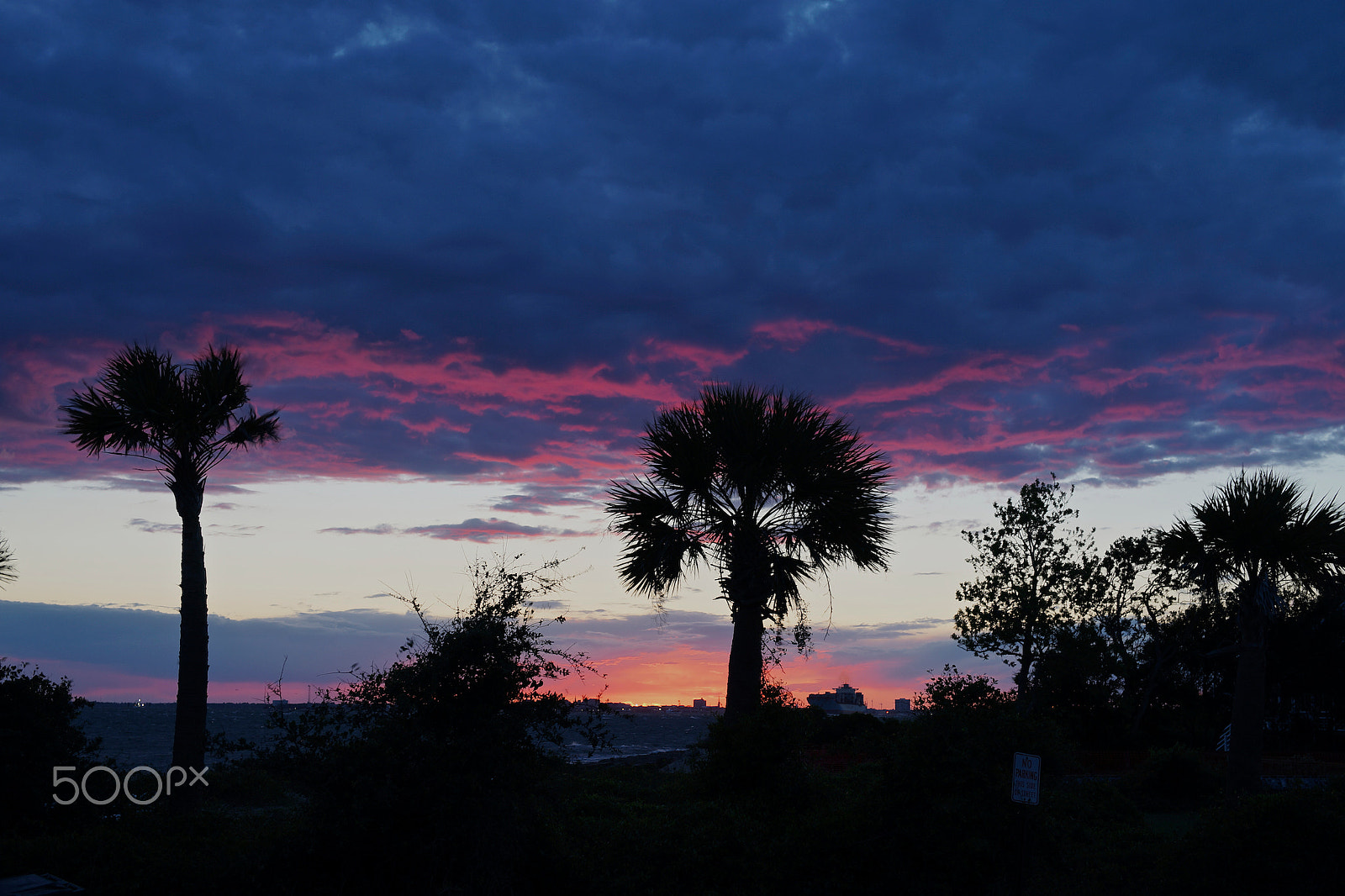 Sony Planar T* 50mm F1.4 ZA SSM sample photo. Sunset over charleston harbor photography