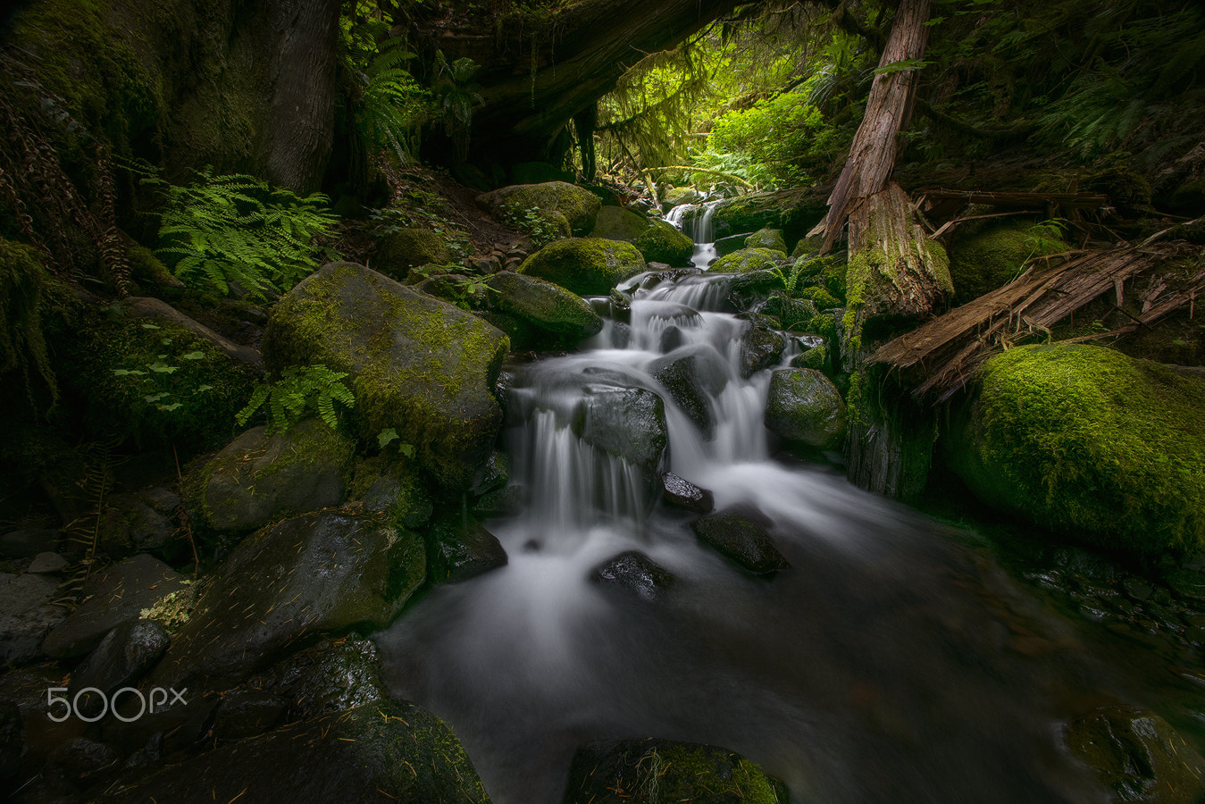 Nikon D810 + Nikon AF Nikkor 14mm F2.8D ED sample photo. Wahkeena creek, or photography