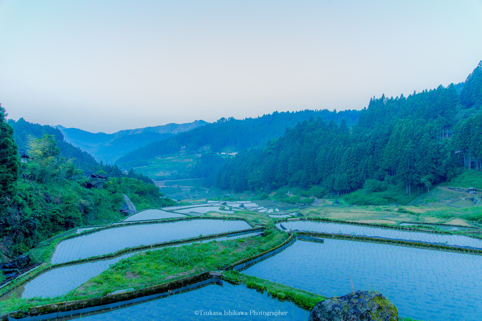 Sony a99 II + 24-105mm F4 sample photo. Senmaida in yotsuya photography