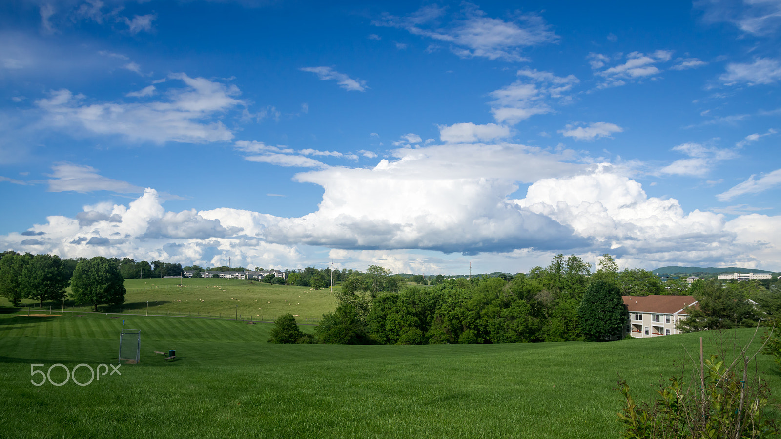 Canon EF-S 17-55mm F2.8 IS USM sample photo. Land field photography