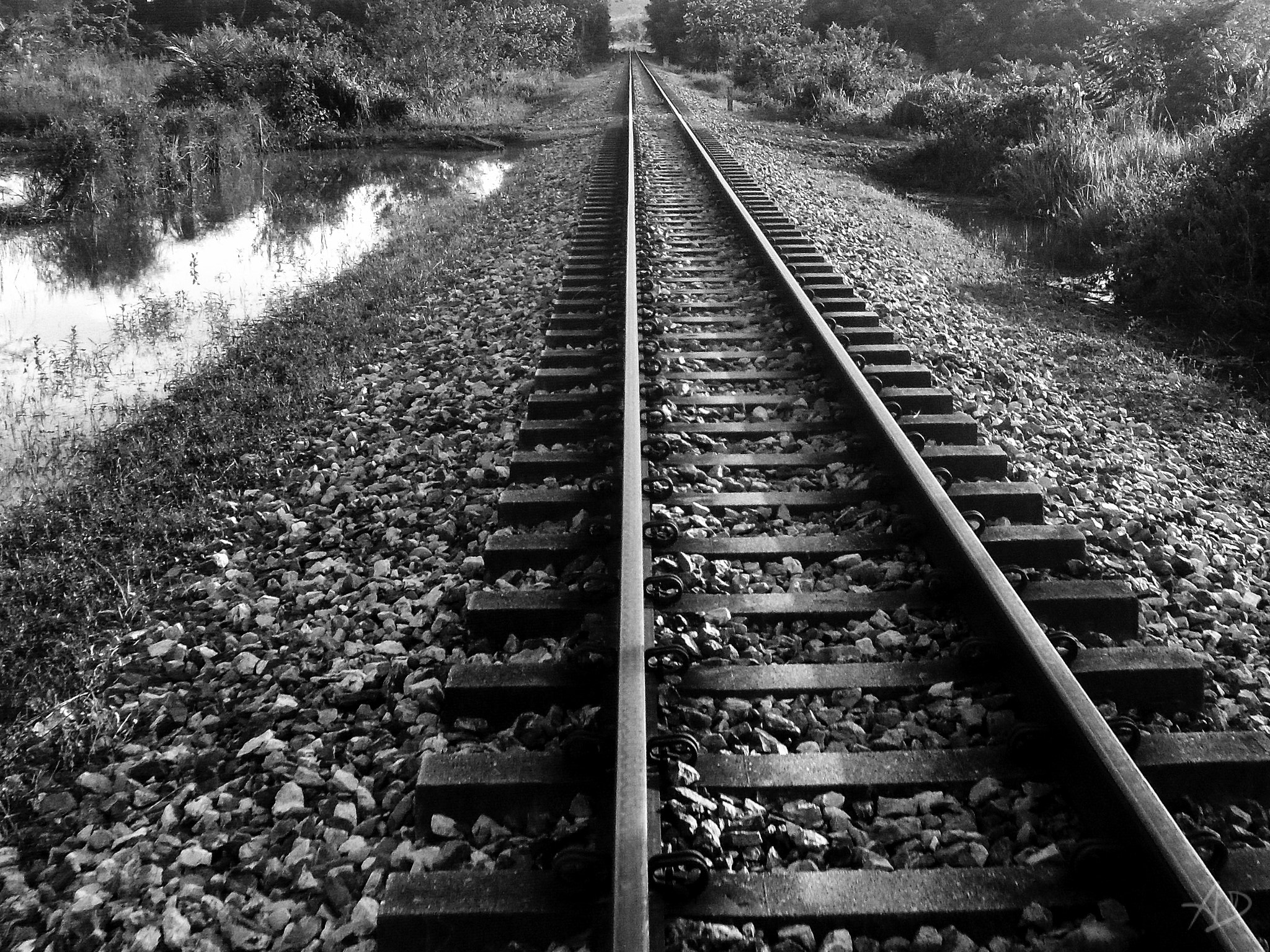 Samsung ES28 / VLUU ES28 sample photo. Railroad photography