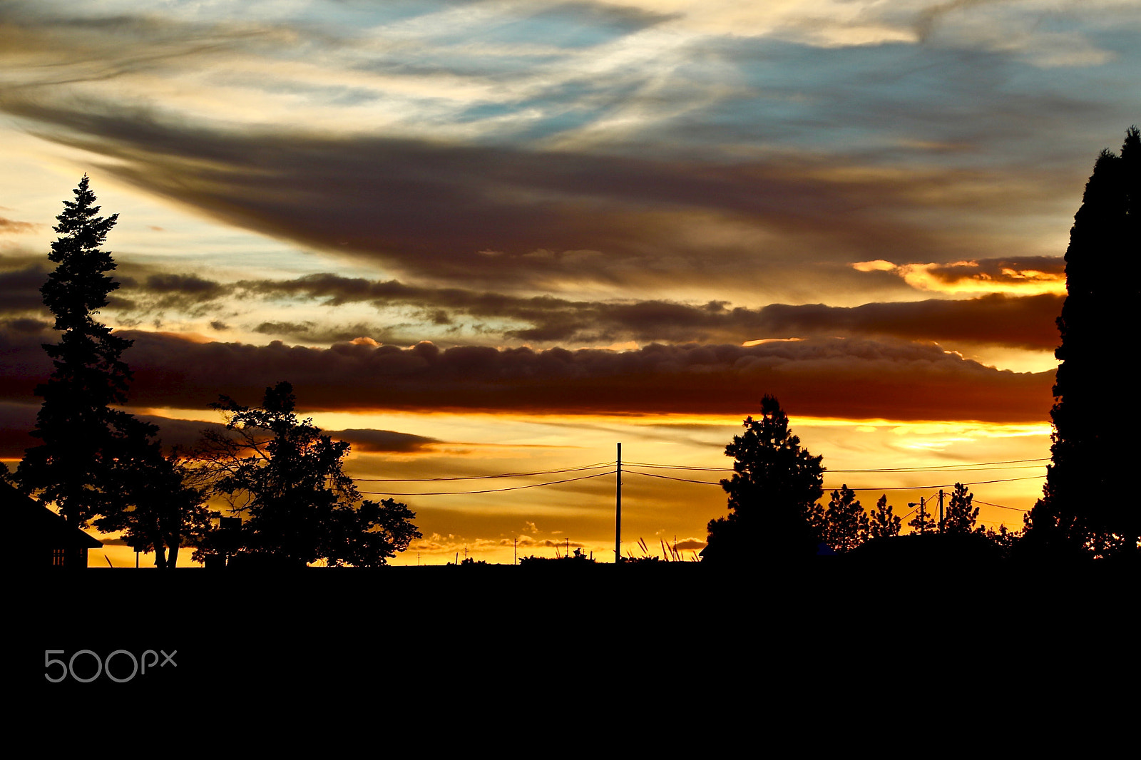 EF75-300mm f/4-5.6 sample photo. Painted photography