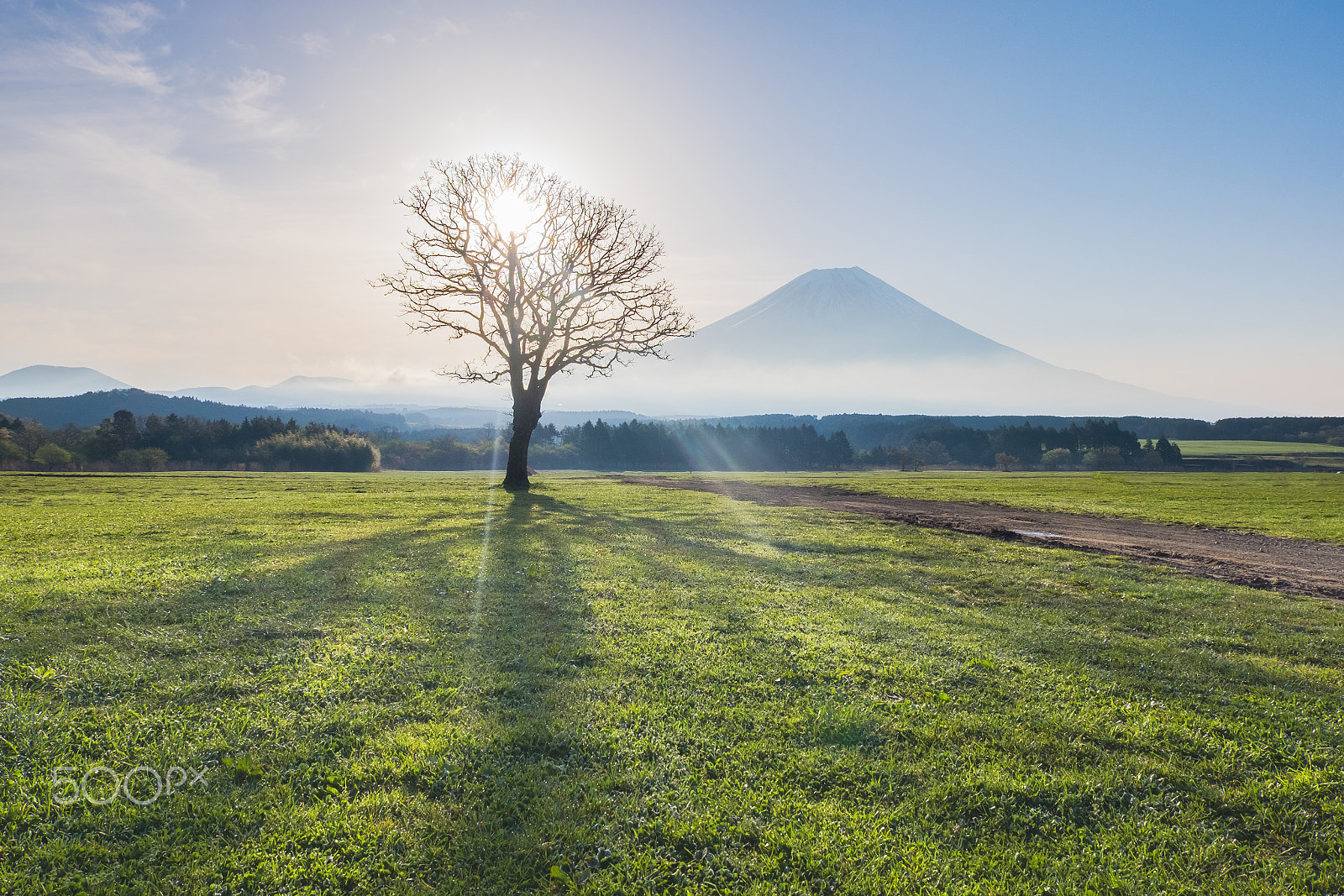 Fujifilm XC 16-50mm F3.5-5.6 OIS II sample photo. Mount fuji in the morning photography