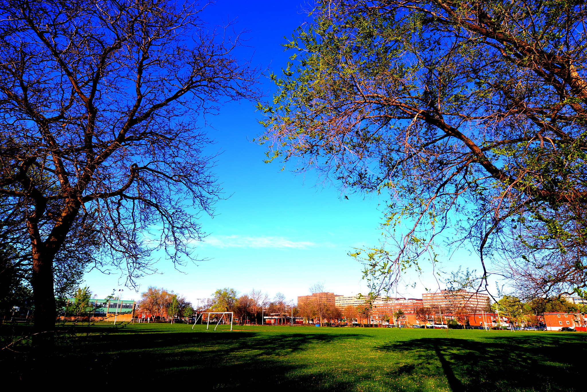 Nikon D600 sample photo. Soccer field photography