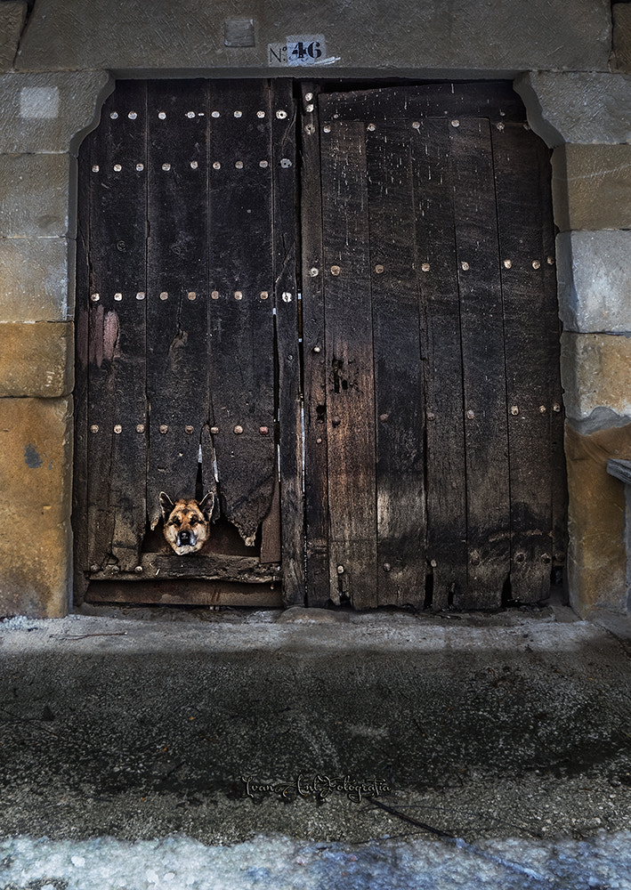 Olympus OM-D E-M5 II + OLYMPUS  7-14mm Lens sample photo. Hold the door photography