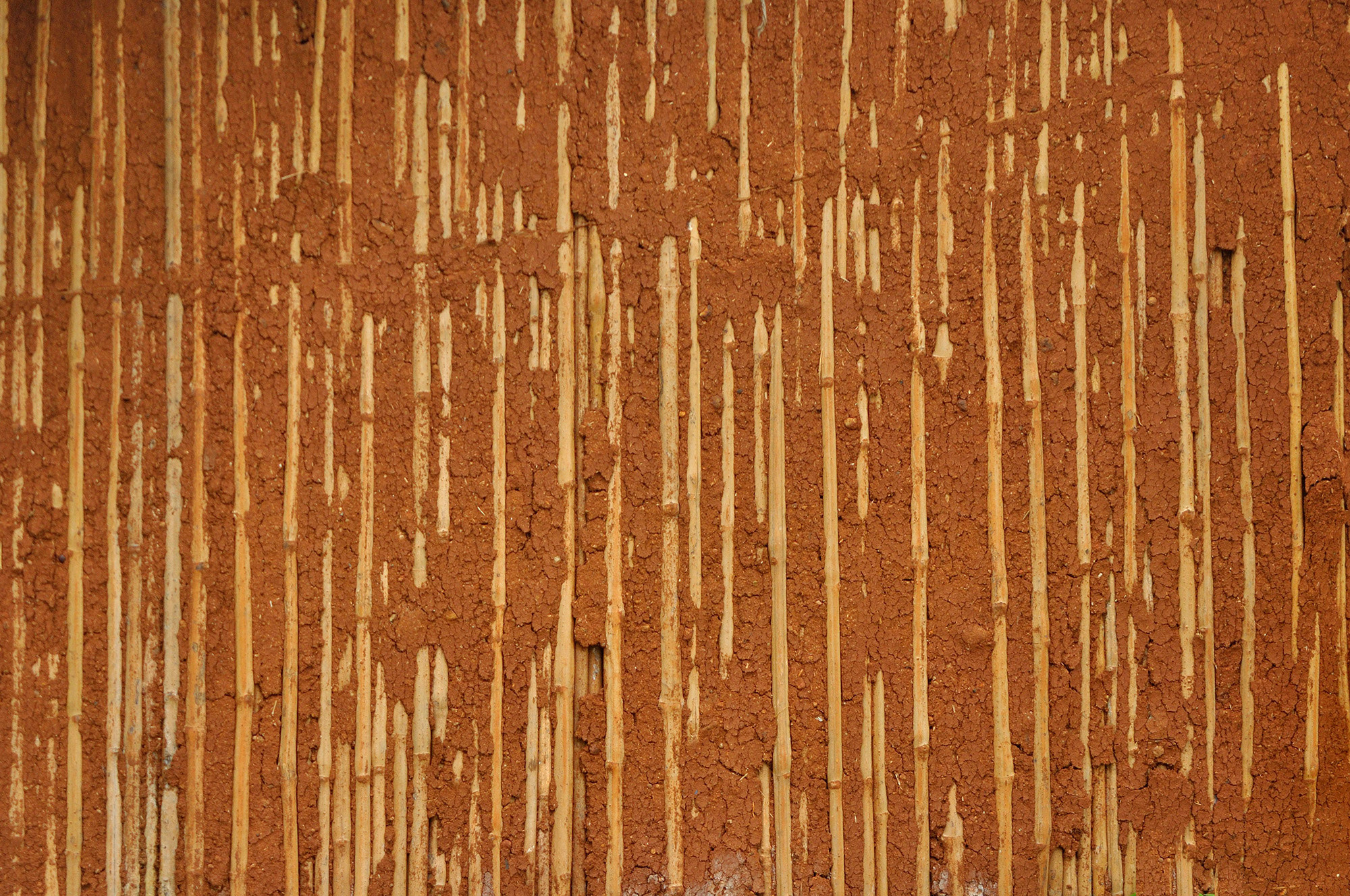 Sigma 50-500mm F4-6.3 EX APO RF HSM sample photo. Sticks wall photography