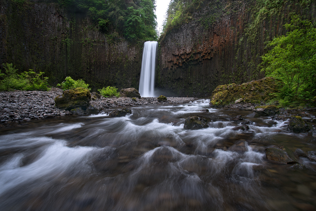Sony a7R II + Canon EF 17-40mm F4L USM sample photo. Early morning abiqua photography