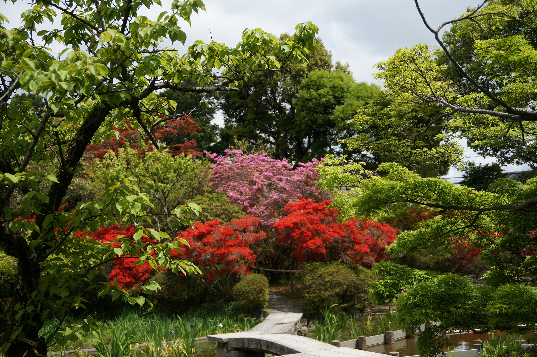 Sony E 16-50mm F3.5-5.6 PZ OSS sample photo