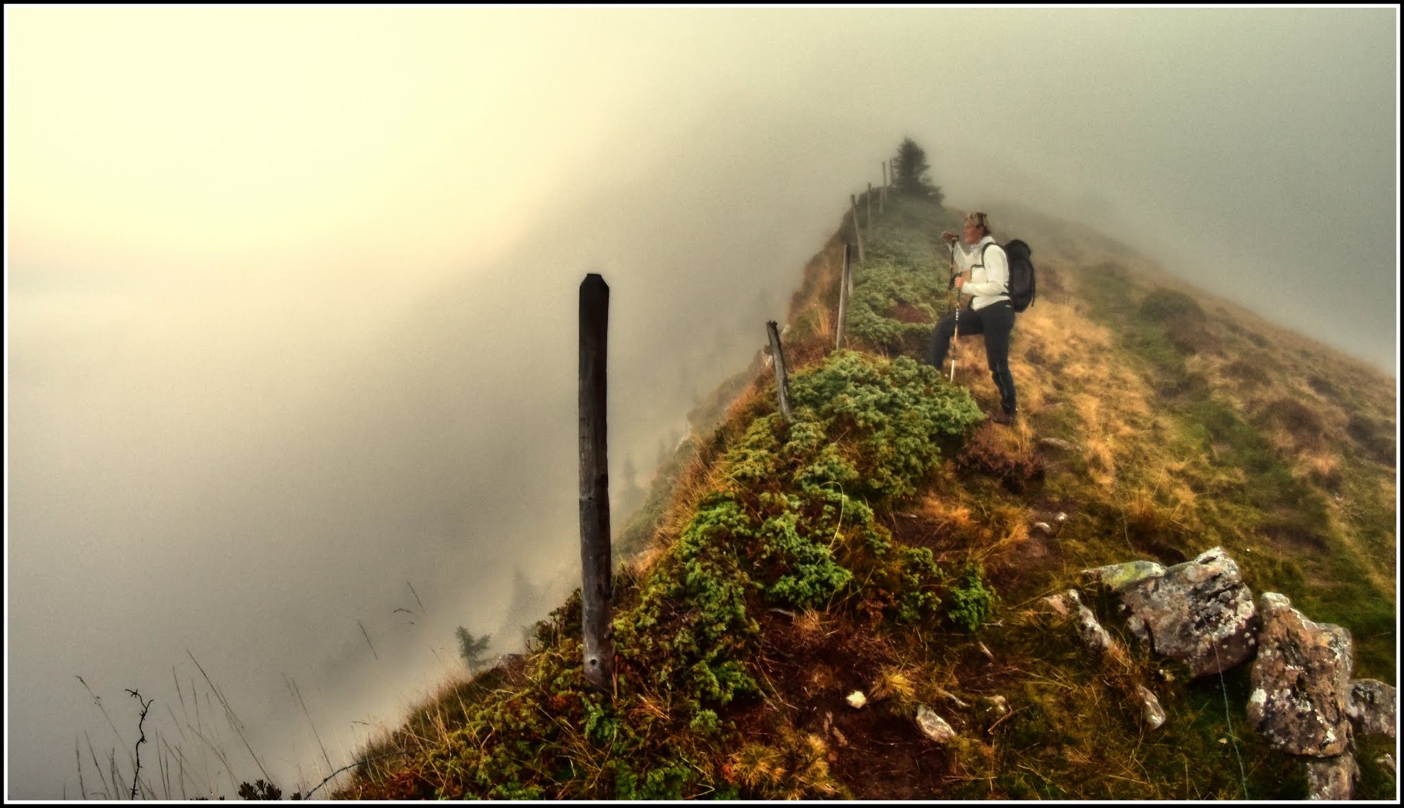Nikon D810 + Samyang 8mm F3.5 Aspherical IF MC Fisheye sample photo. Nebelgrenze photography