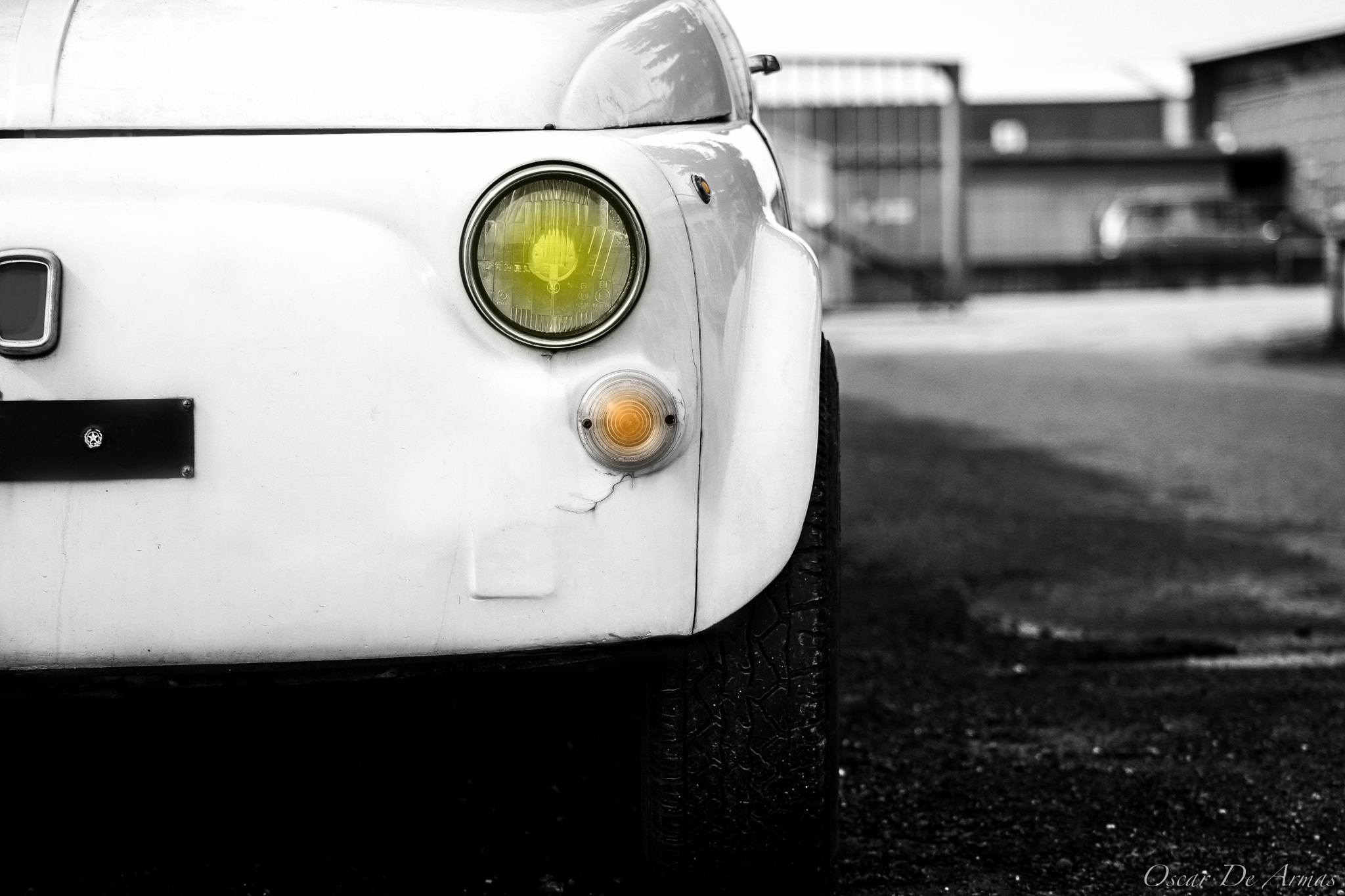 Canon EOS-1D Mark III sample photo. La bellezza del vecchio photography