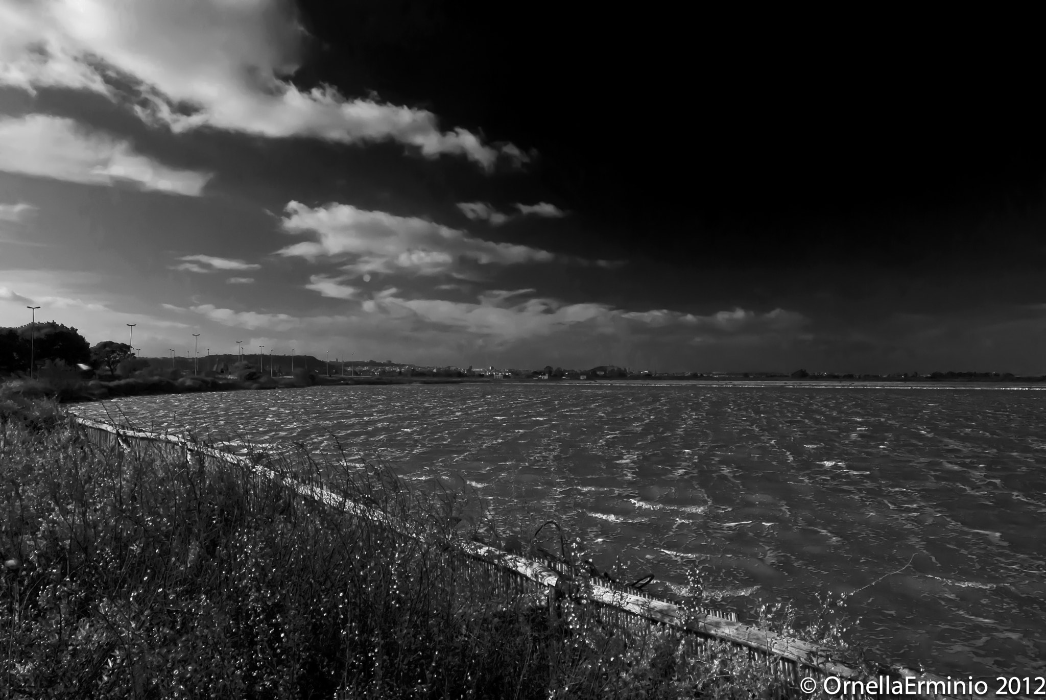 Nikon D200 sample photo. Arriva il temporale photography