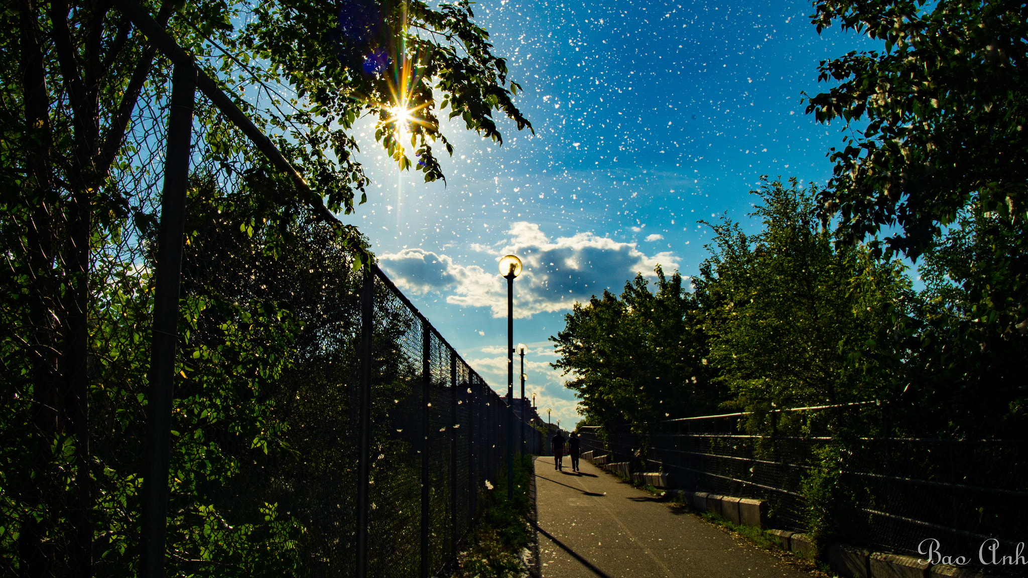 Soligor 19-35mm F3.5-4.5 sample photo. Snow in summer photography