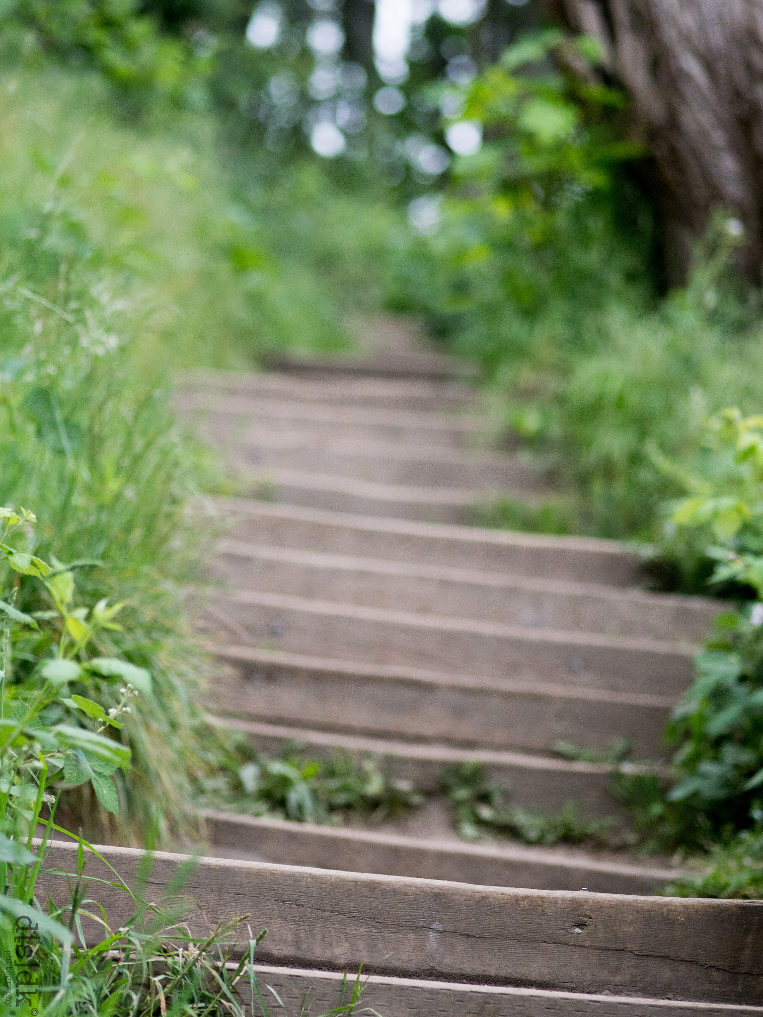 Olympus OM-D E-M5 + Olympus M.Zuiko Digital ED 75mm F1.8 sample photo. Stairs photography