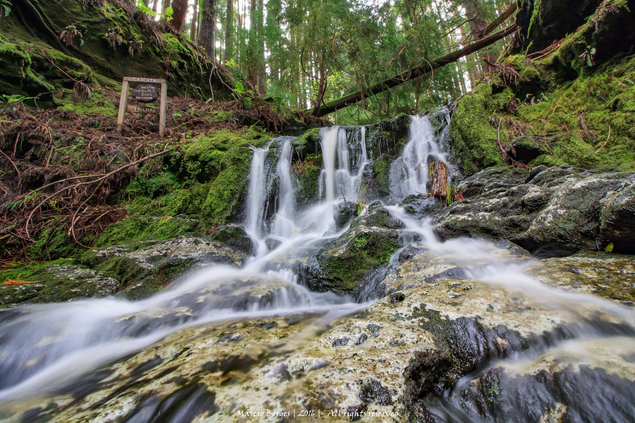 Canon EF-S 10-18mm F4.5–5.6 IS STM sample photo. Good vibes!! photography