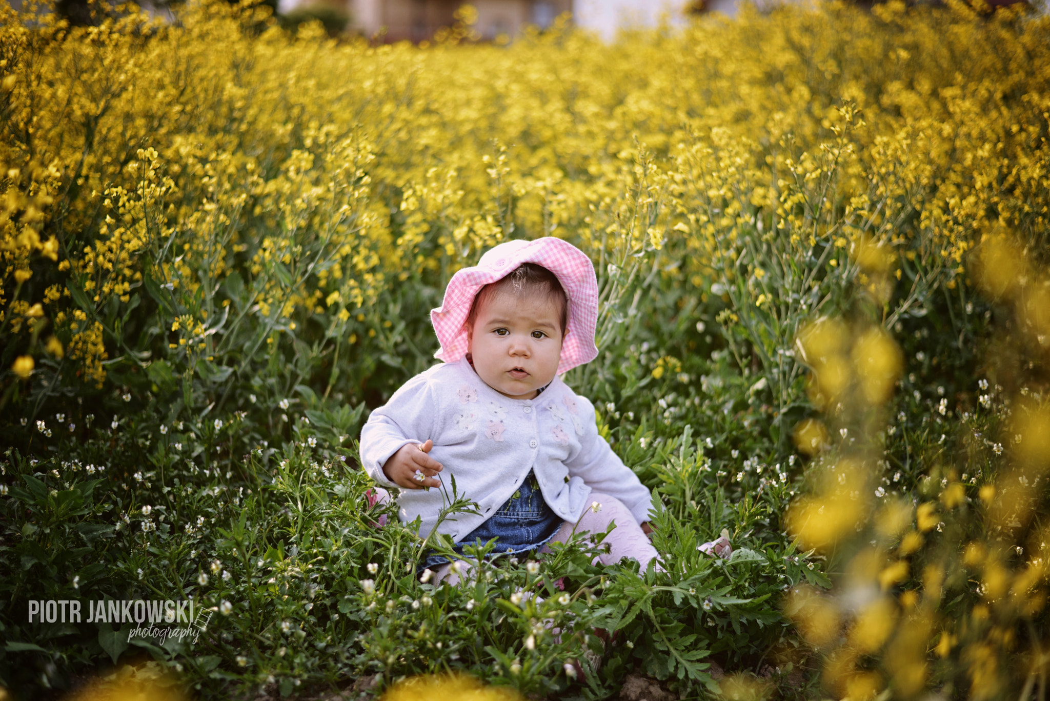 AF Nikkor 50mm f/1.8 N sample photo. Rape photography