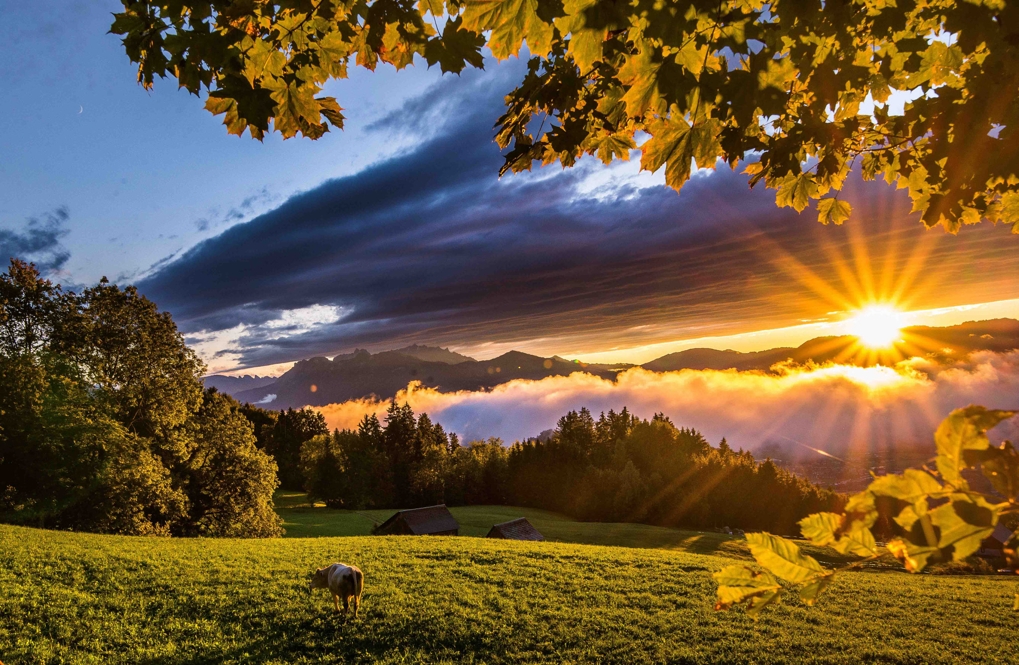 Tamron SP 15-30mm F2.8 Di VC USD sample photo. Kurzer augenblick photography