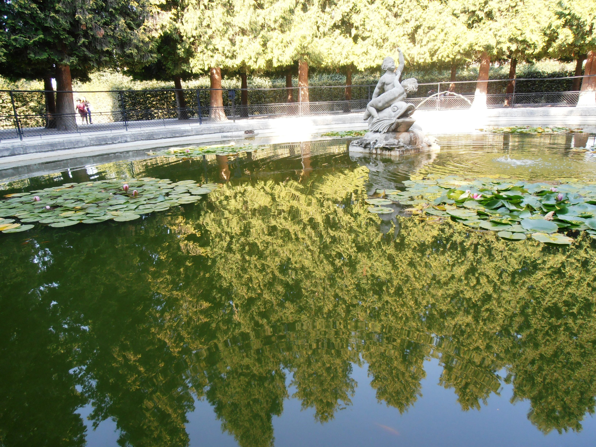 Olympus VR310,D720 sample photo. Reflexion photography