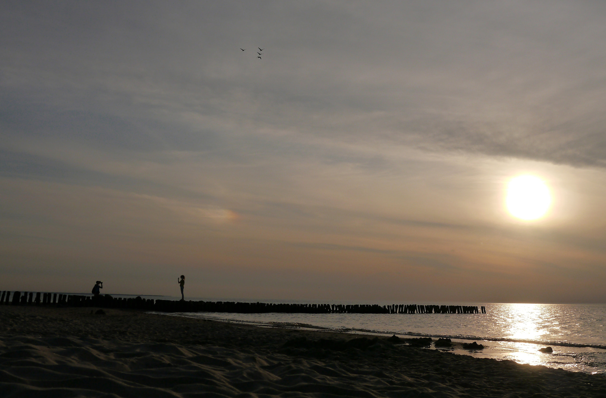 Panasonic Lumix DMC-G5 sample photo