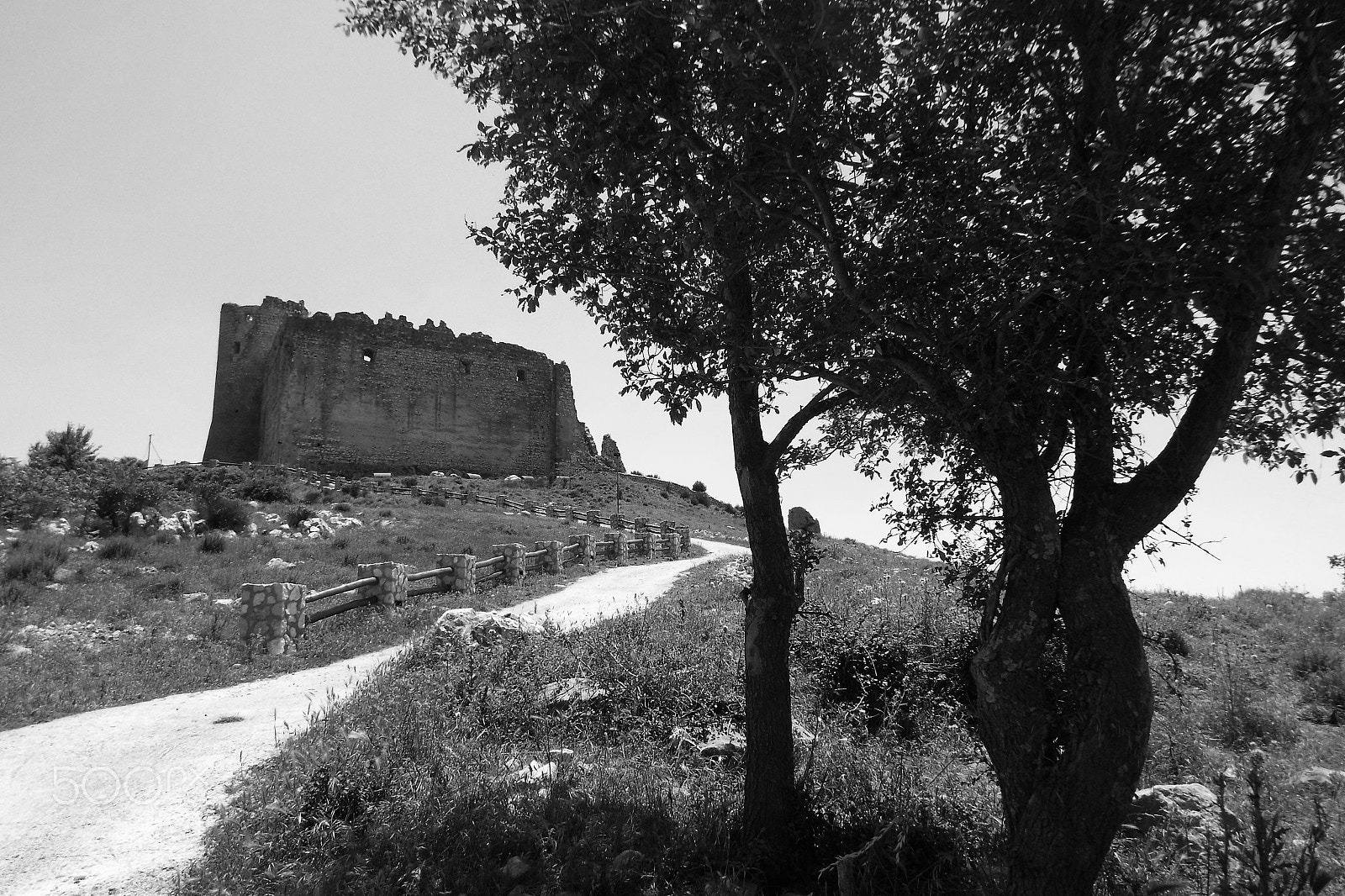 Fujifilm FinePix S9800 sample photo. Norman castle photography