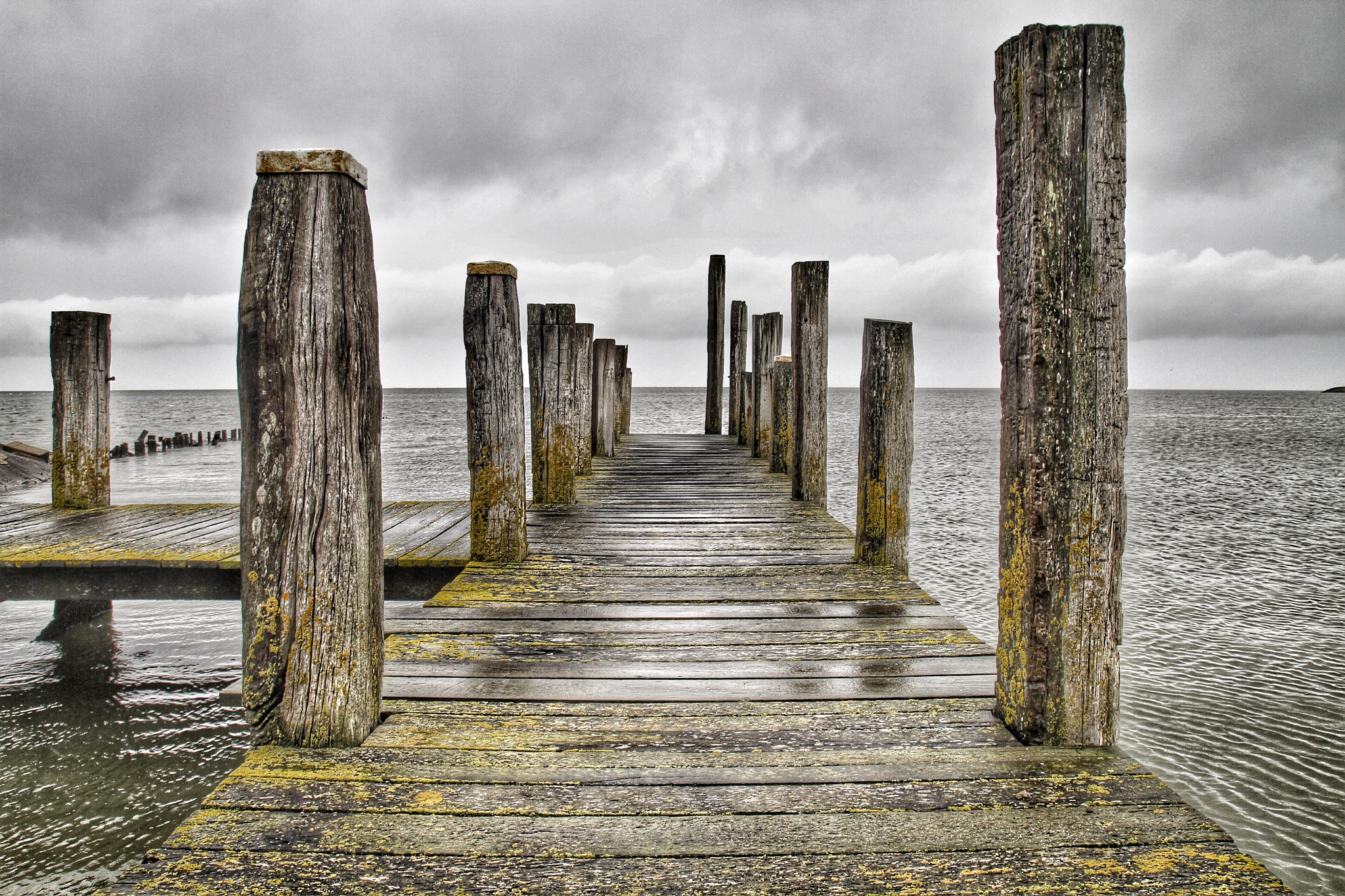Canon 17-50mm sample photo. Texel photography