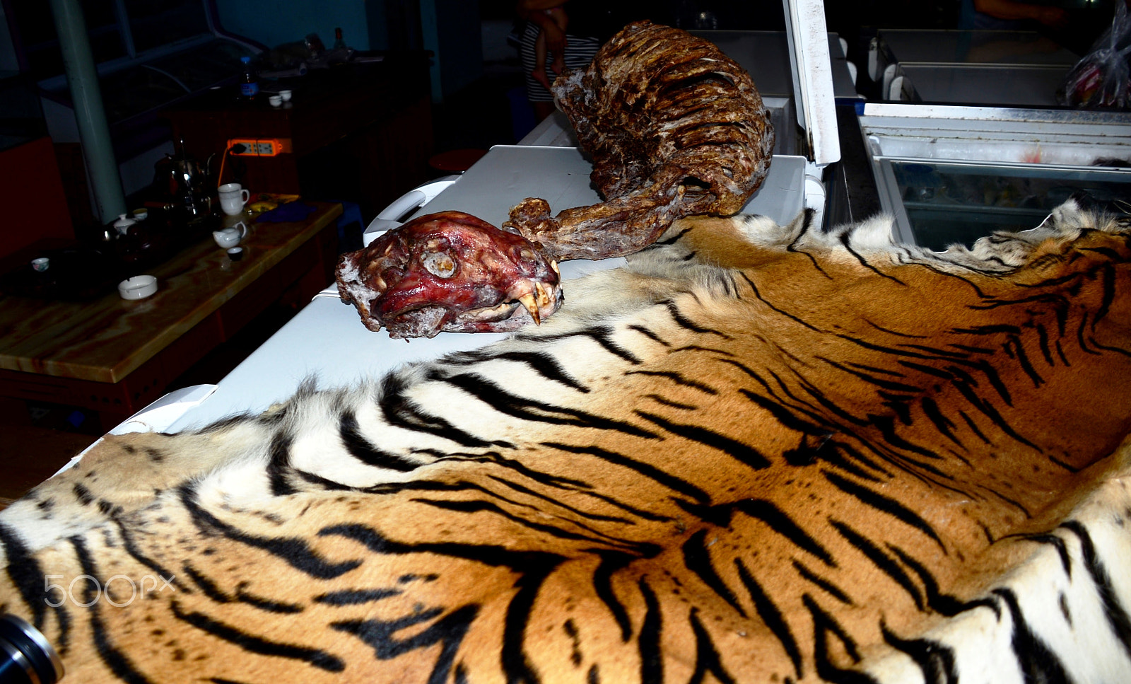Nikon D600 sample photo. Tiger skin and carcass for sale photography