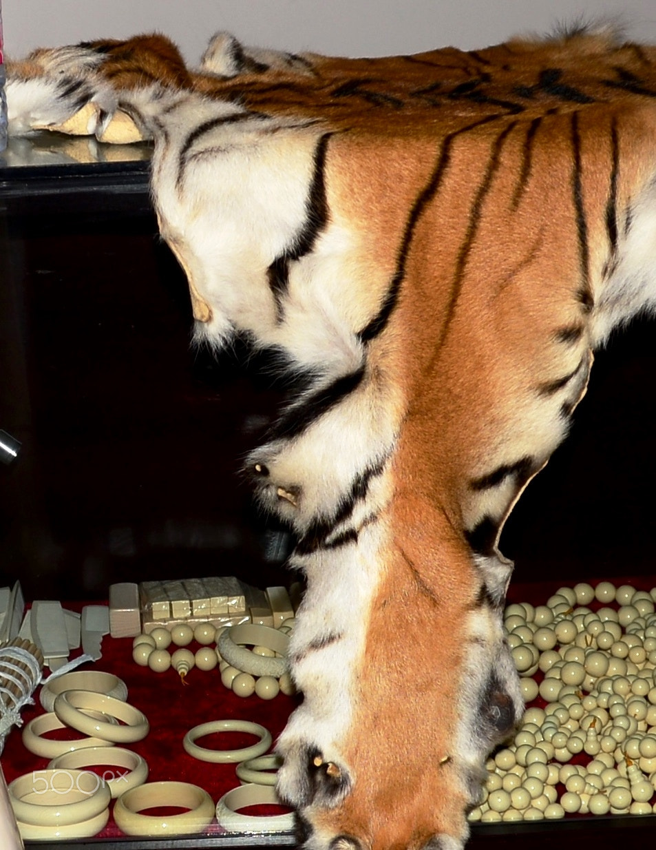Nikon D600 sample photo. Tiger skin and ivory for sale photography