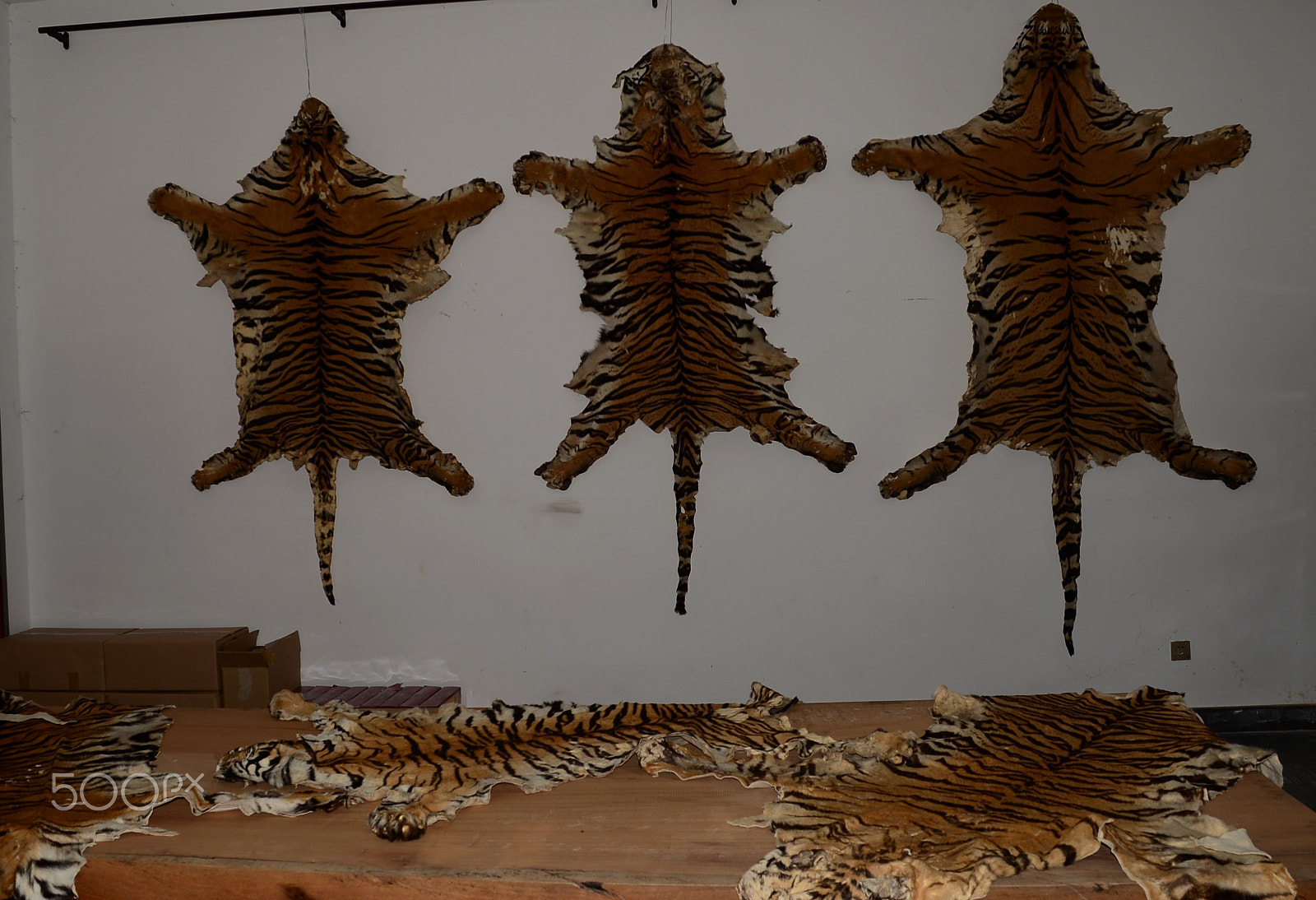 Nikon D600 sample photo. Tiger skins on display for sale photography