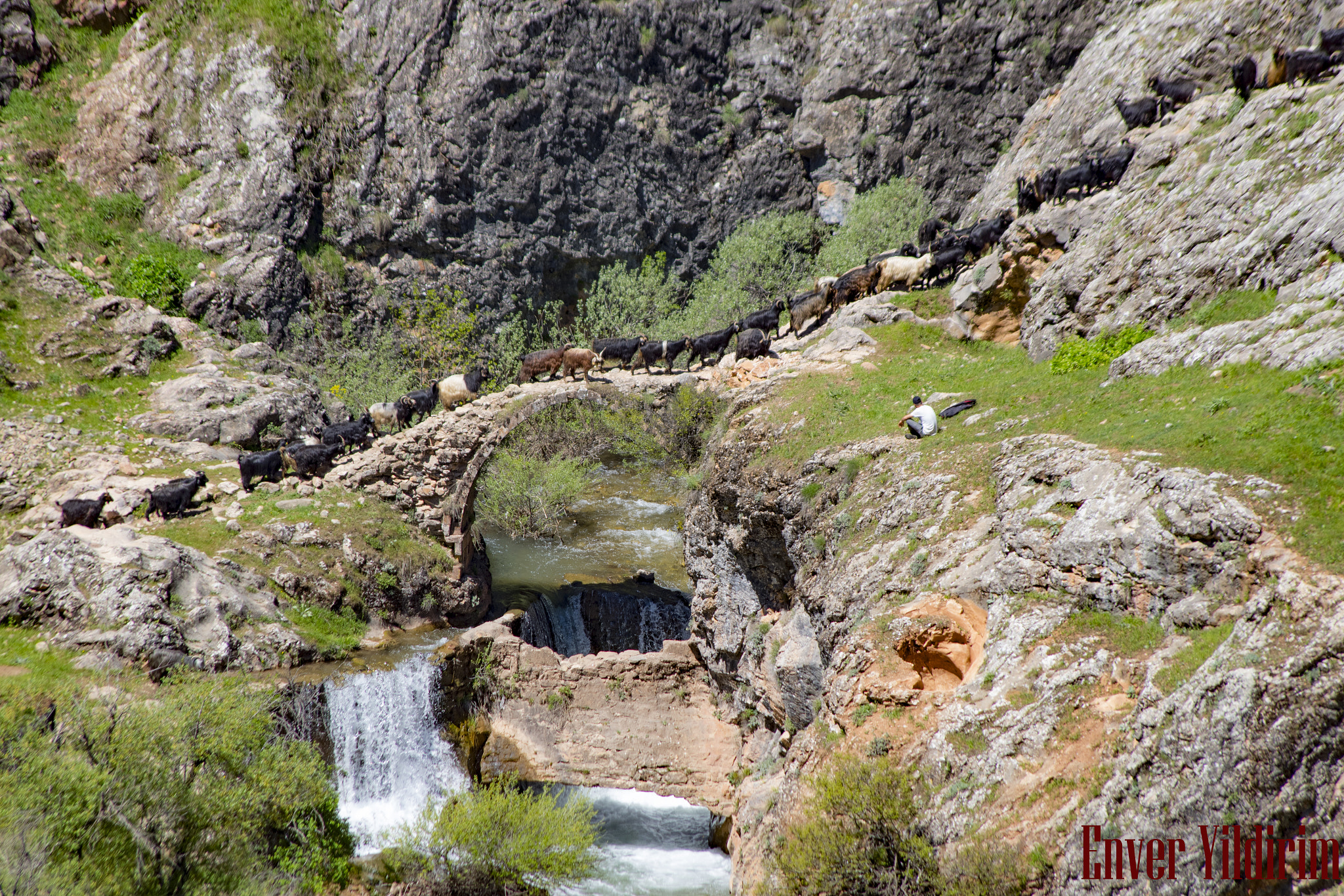 Pentax K-S1 + Pentax smc DA 55-300mm F4.0-5.8 ED sample photo. Rabat-dersim photography