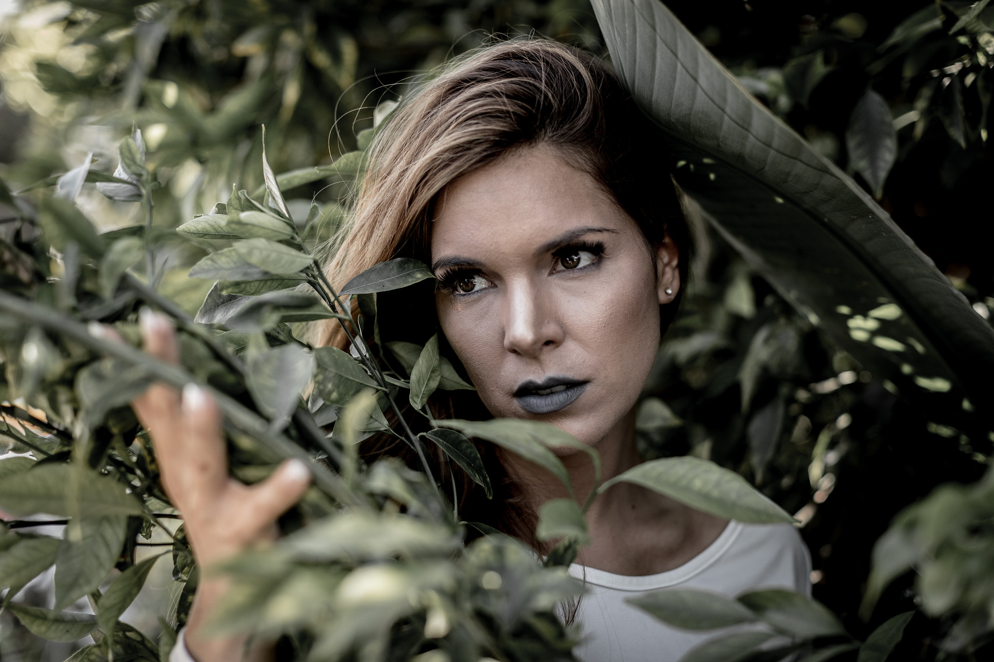 Canon EF 50mm F1.2L USM sample photo. Life in the wild photography