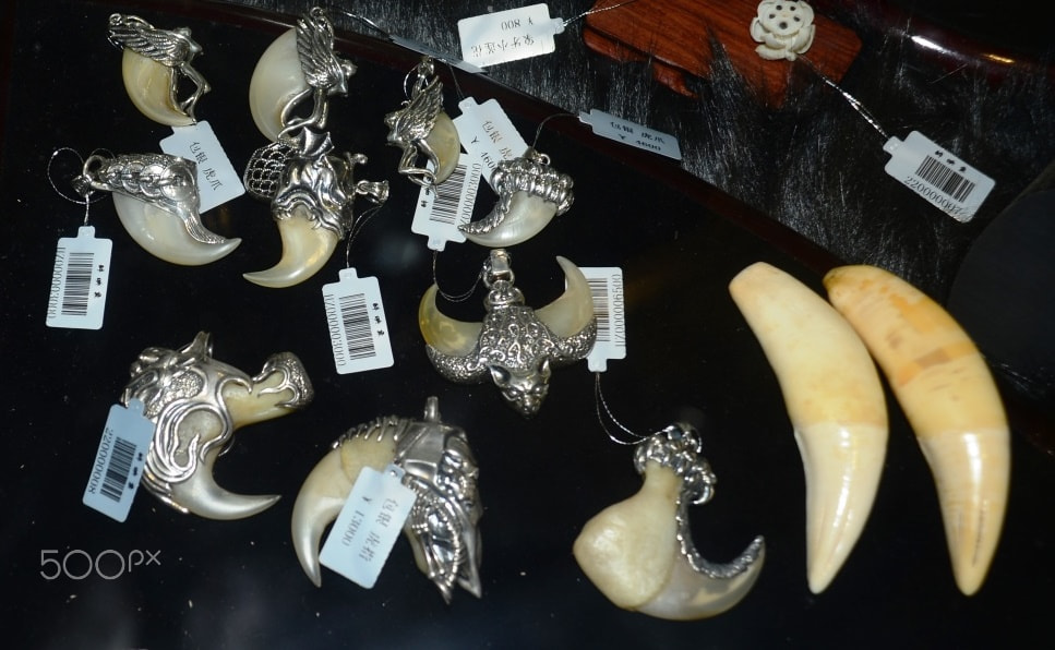 Nikon D600 sample photo. Tiger jewellery for sale photography