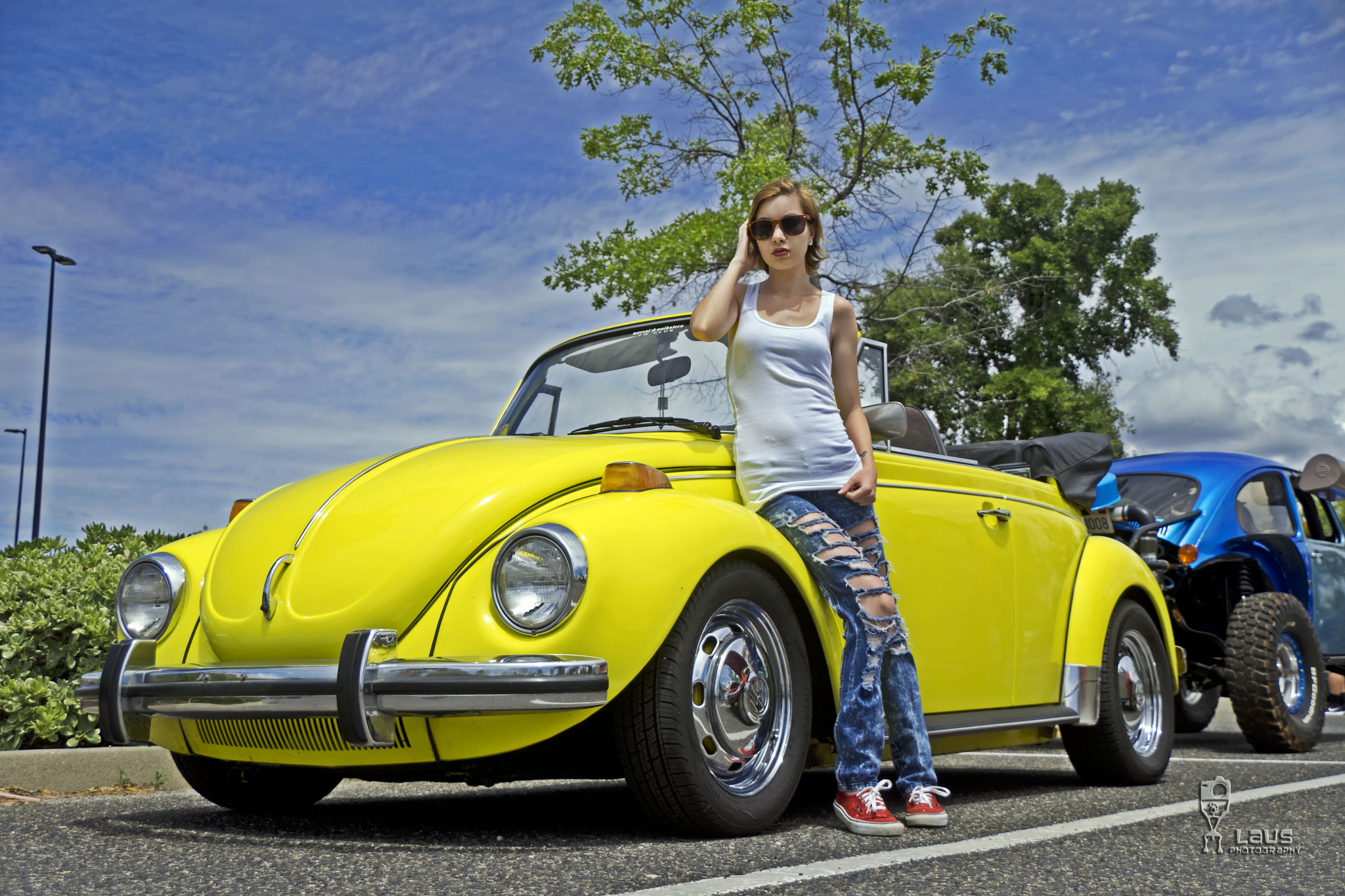 Sony DT 18-250mm F3.5-6.3 sample photo. Yellow bug photography