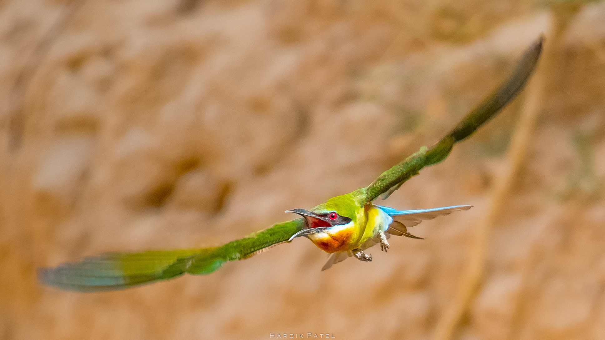 Nikon D5 sample photo. The flight photography
