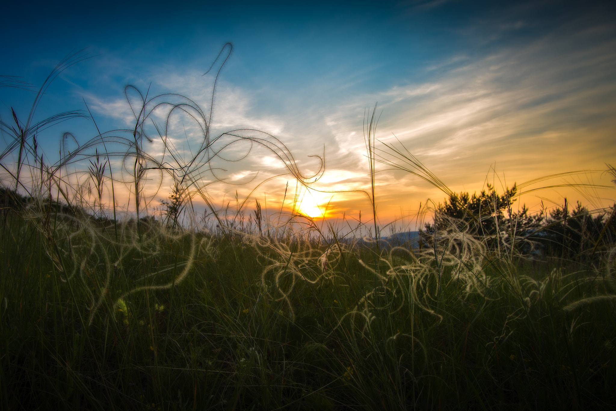 Nikon D600 sample photo. Curves photography