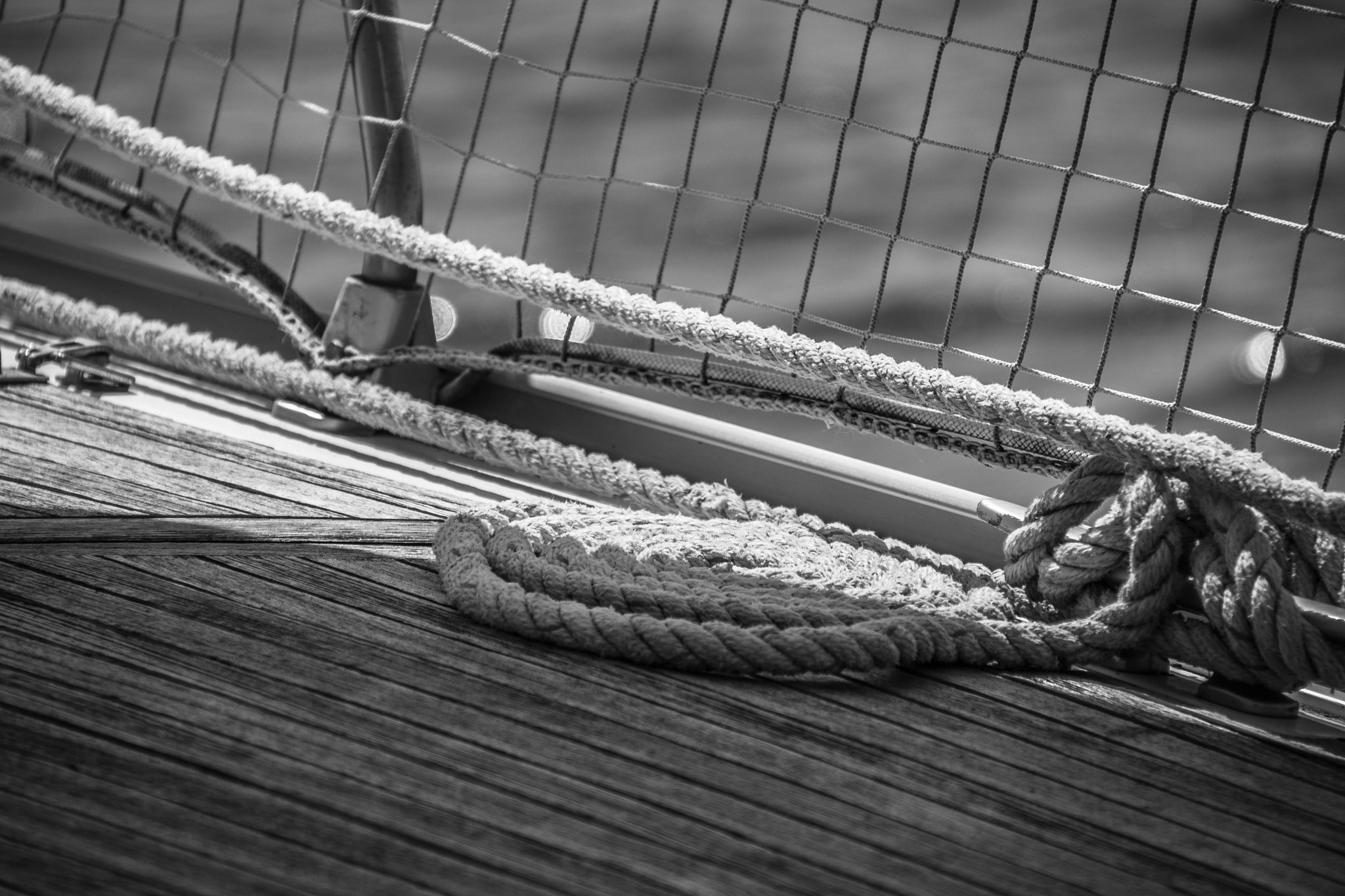 Sigma 18-200mm F3.5-6.3 II DC OS HSM sample photo. Coil photography