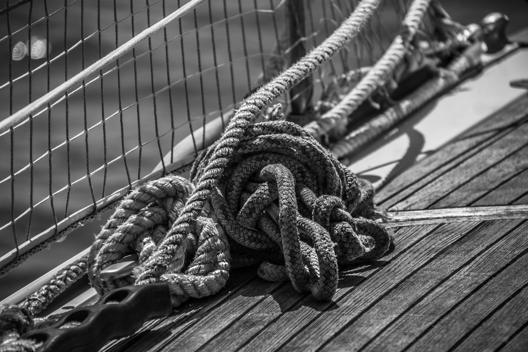 Sigma 18-200mm F3.5-6.3 II DC OS HSM sample photo. Rope photography