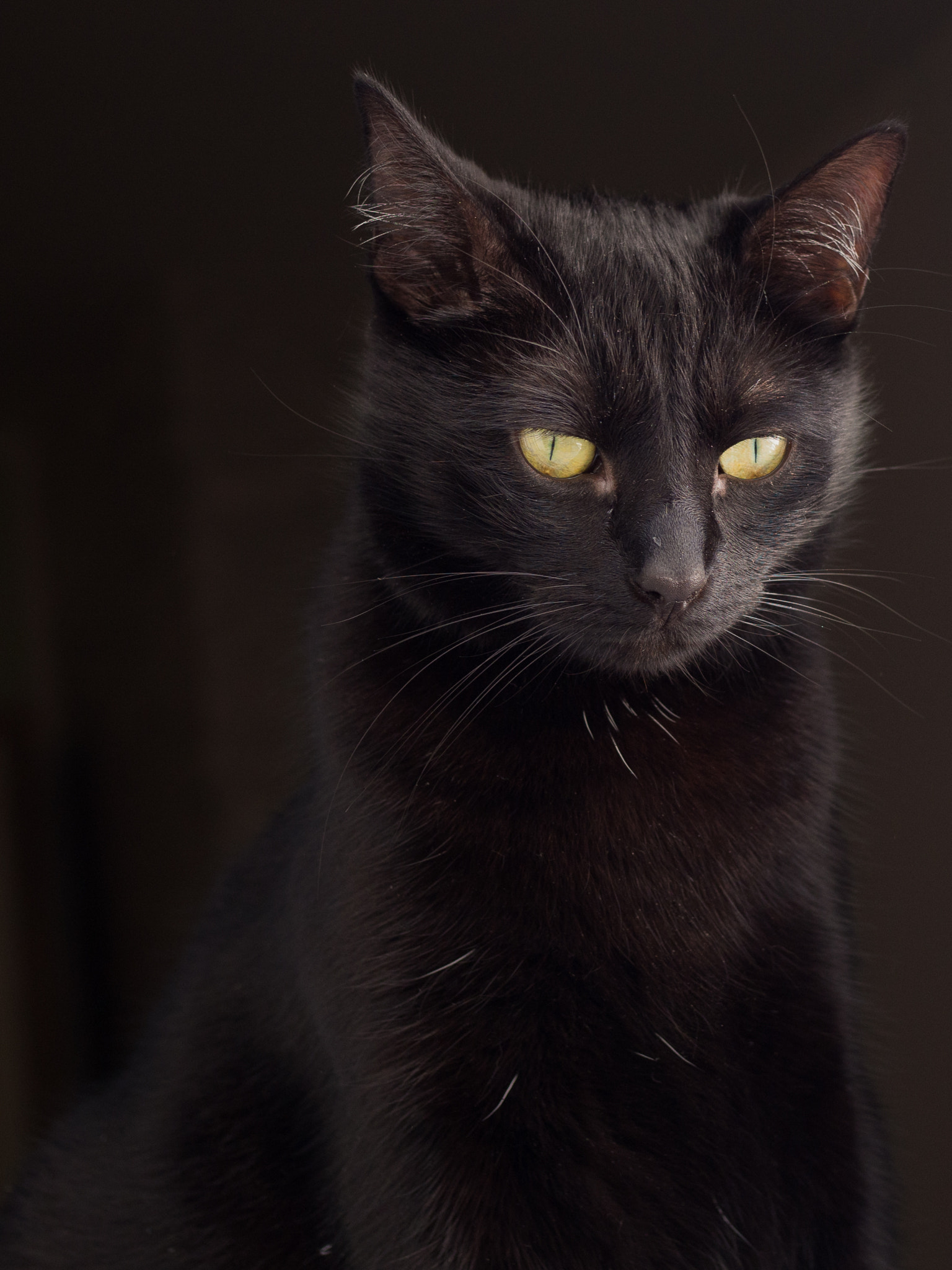 Olympus OM-D E-M10 II + Olympus M.Zuiko Digital 25mm F1.8 sample photo. Evil buffy photography