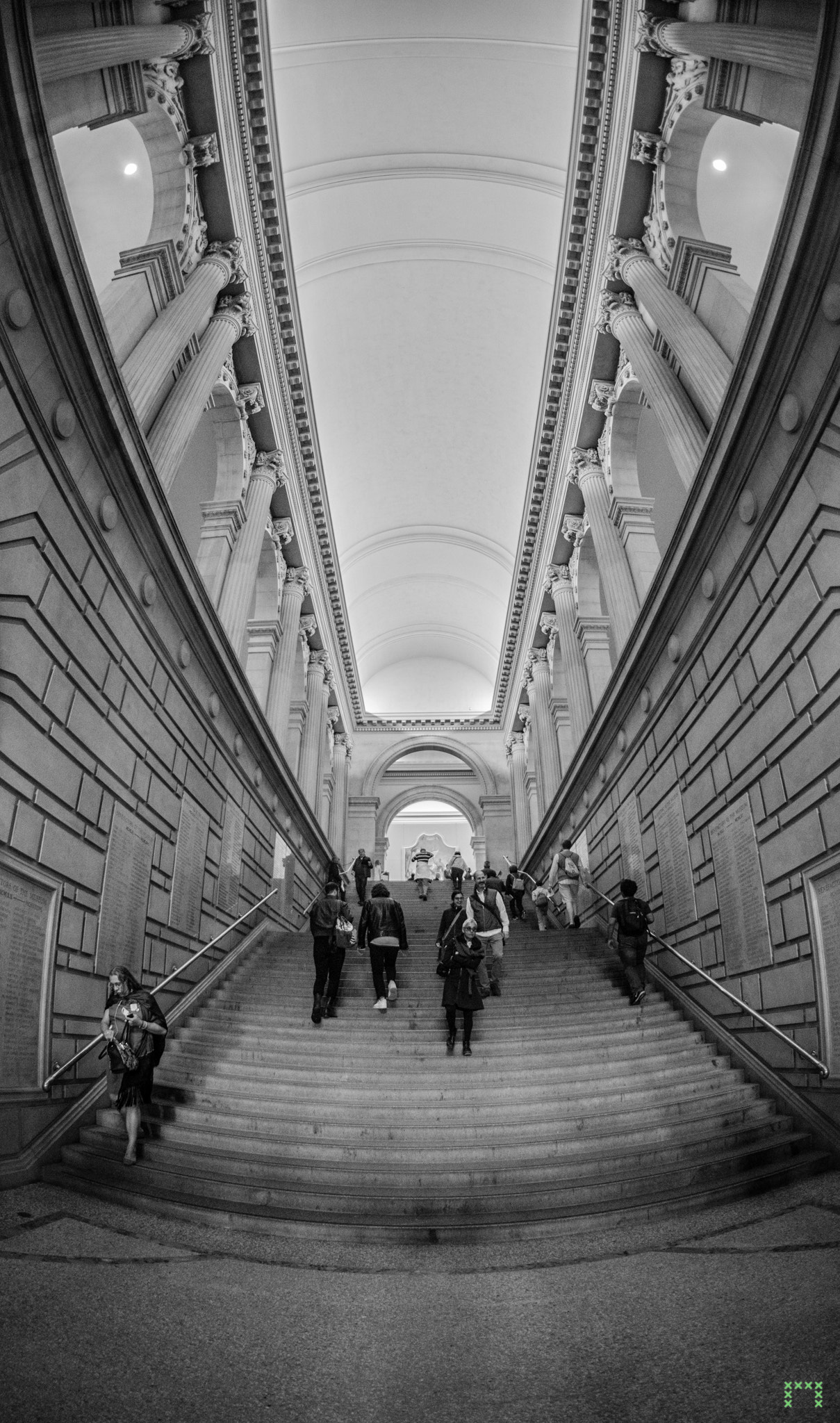 Nikon D750 + Sigma 15mm F2.8 EX DG Diagonal Fisheye sample photo. A day at the met photography