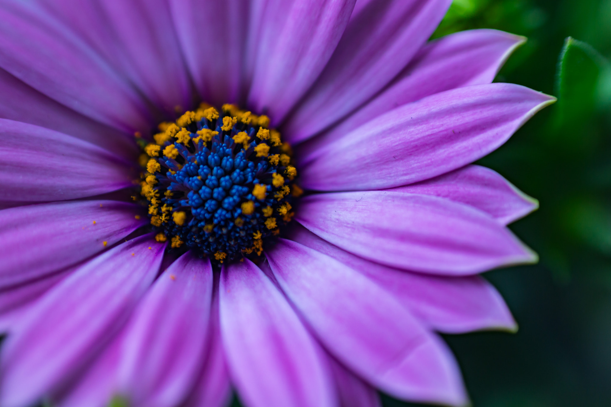 Sony a6000 + Minolta AF 50mm F1.7 New sample photo. Momente photography