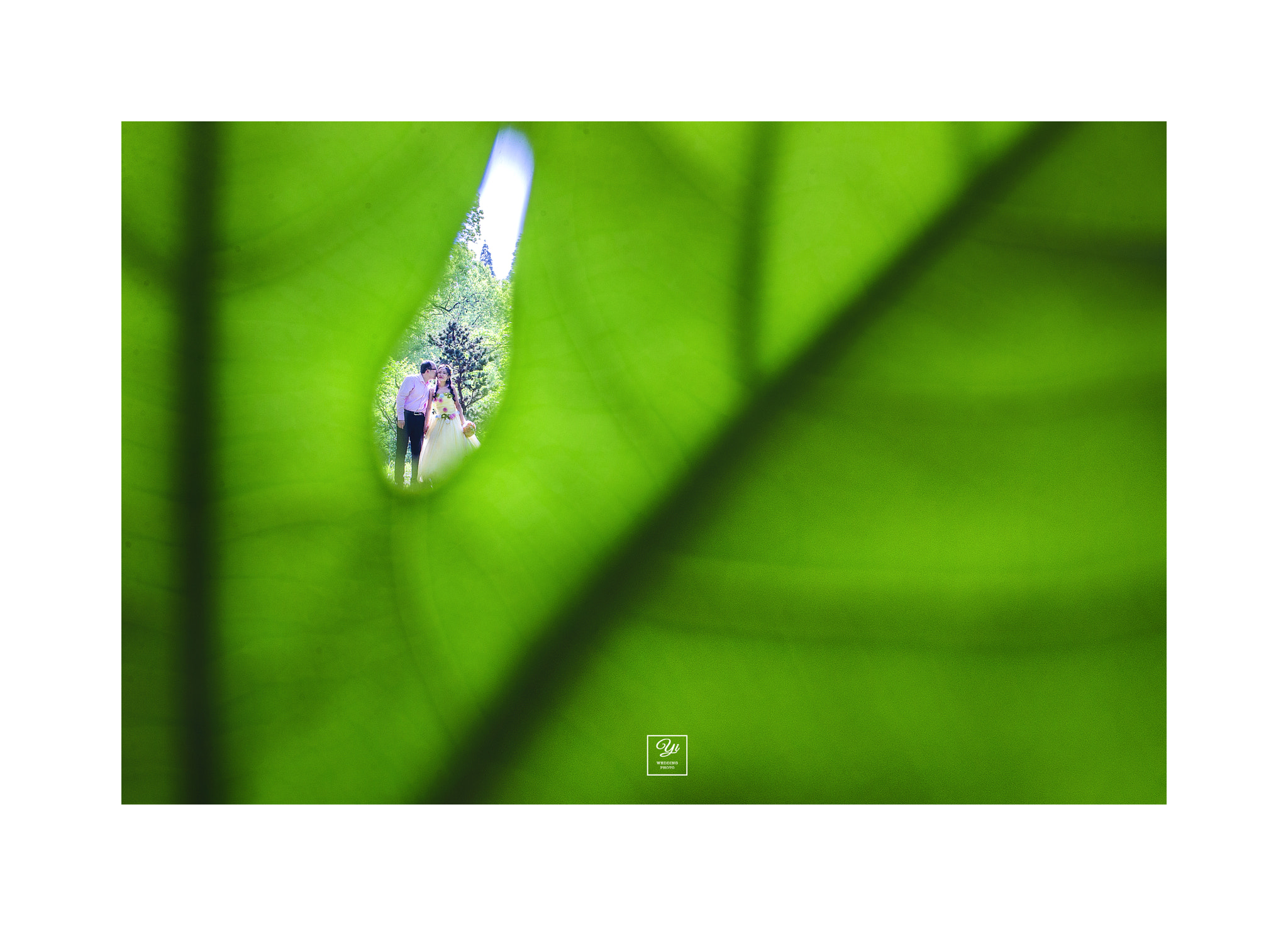 Sigma 35mm F1.4 DG HSM Art sample photo