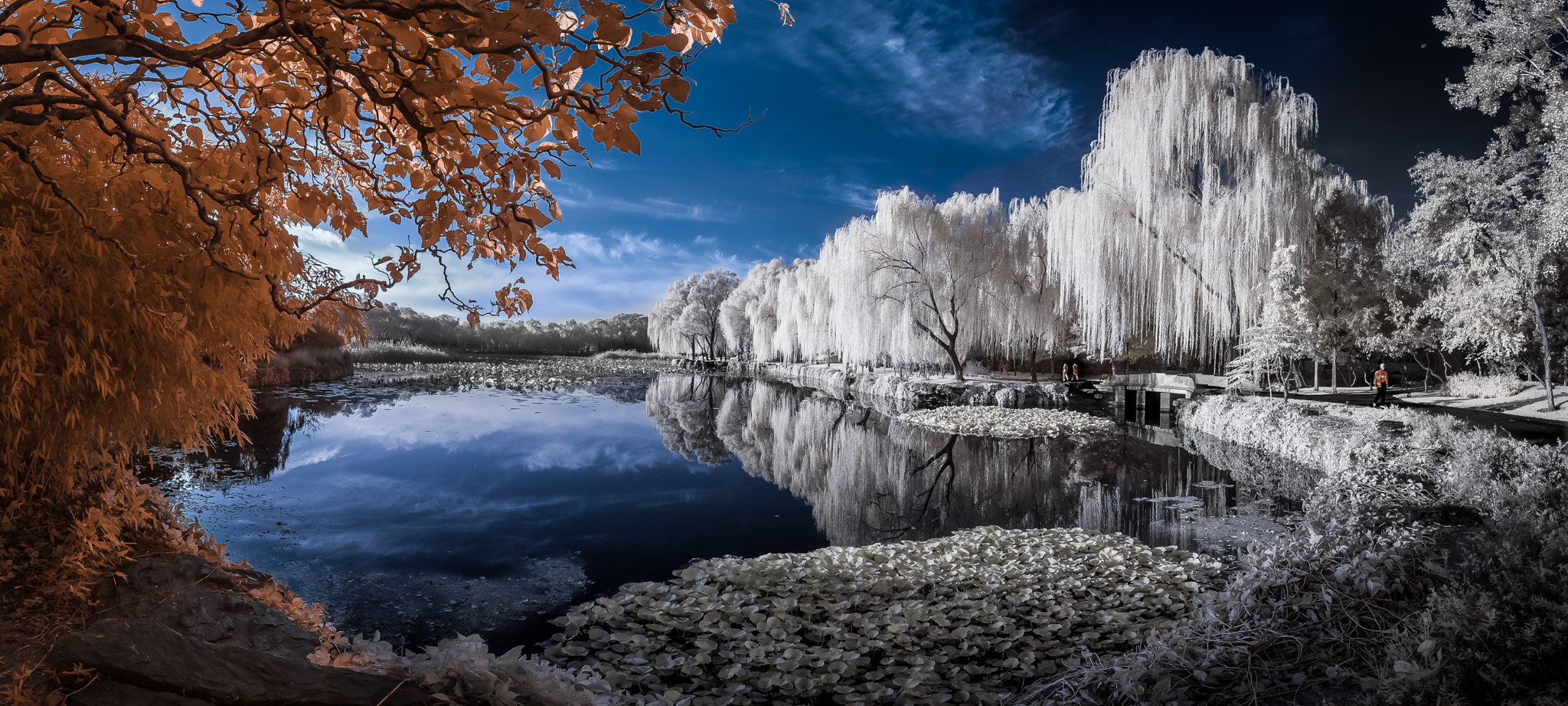 Canon EF 11-24mm F4L USM sample photo. Infrared summer palace photography