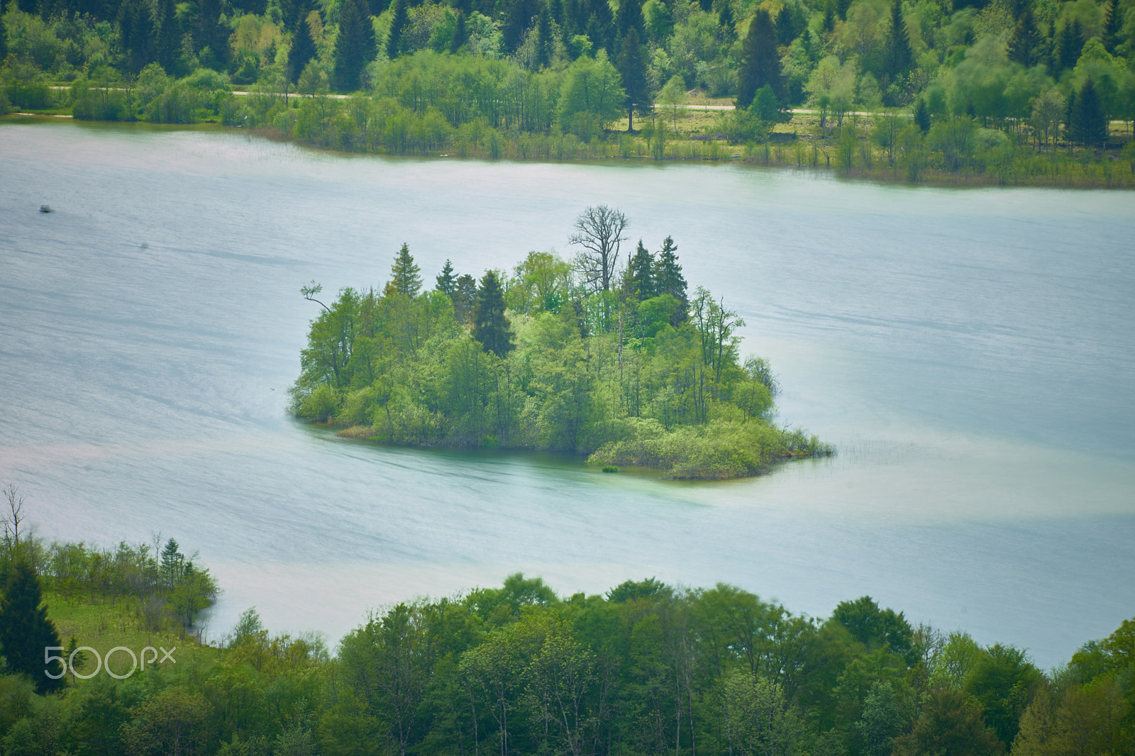 Minolta AF 300mm F2.8 HS-APO G sample photo. Trees island photography