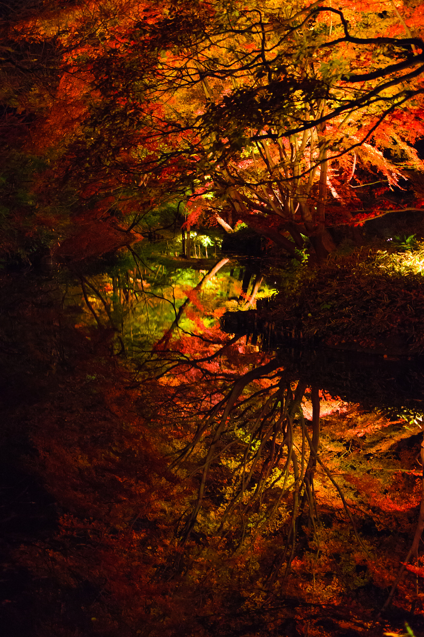 Panasonic Lumix G X Vario 12-35mm F2.8 ASPH Power OIS sample photo. Automn leaves in the water photography