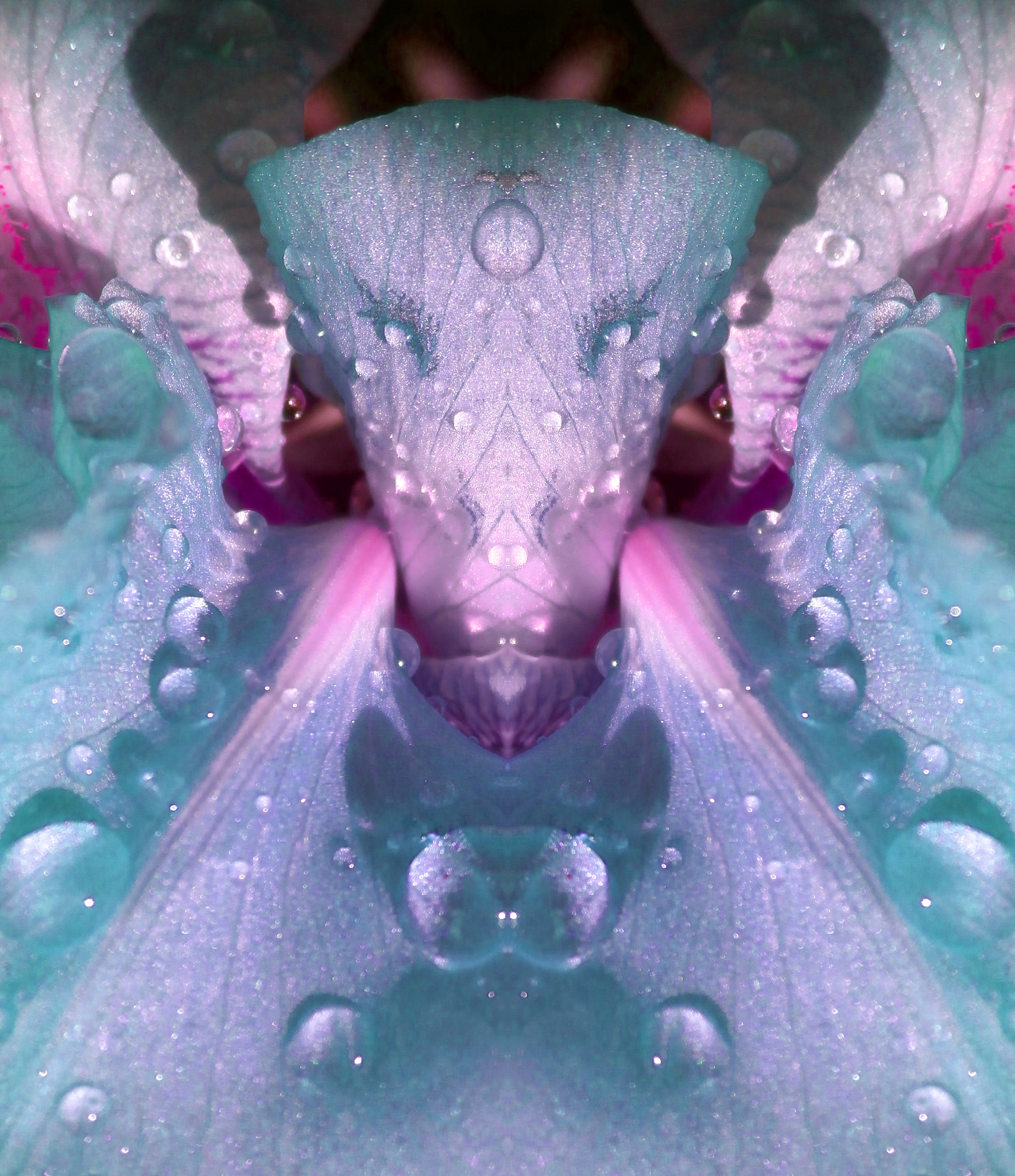 Olympus VG170 sample photo. 'iridescence' photography