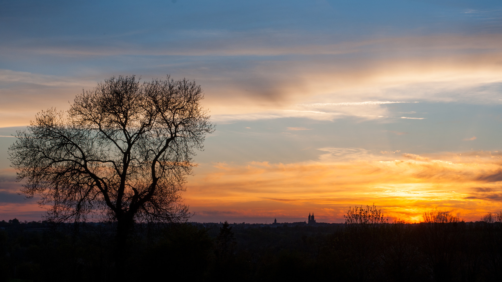 Nikon D700 + AF Zoom-Nikkor 35-70mm f/2.8D sample photo. Tree on the sunset photography