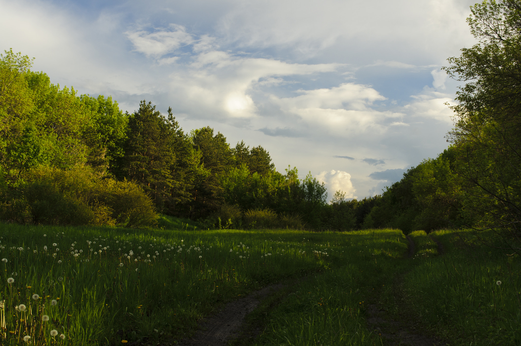 Sony Alpha DSLR-A580 + Sony DT 35mm F1.8 SAM sample photo. Quiet evening photography
