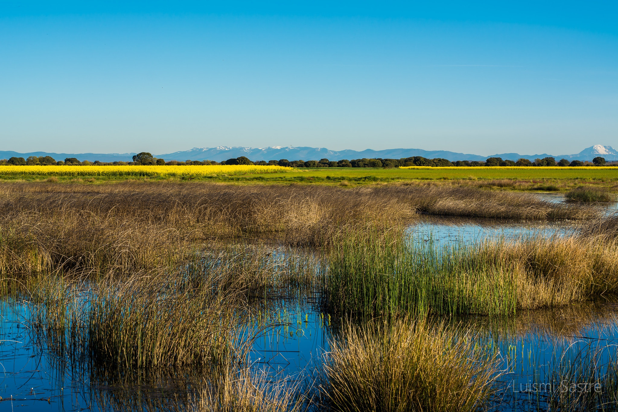 Nikon D5200 + Sigma 50mm F1.4 DG HSM Art sample photo. Laguna del rey photography