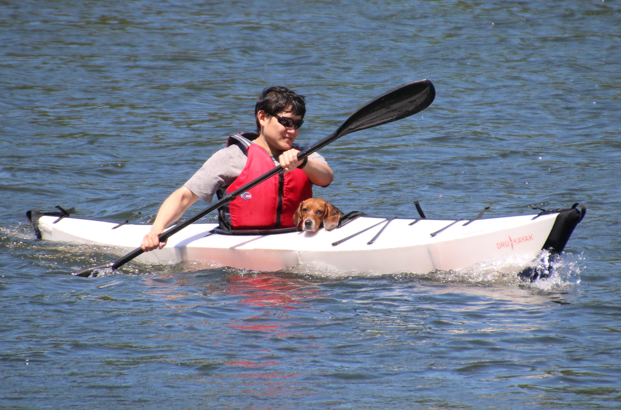 Canon EOS 760D (EOS Rebel T6s / EOS 8000D) + Canon 18-270mm sample photo. Dogs can kayak too photography