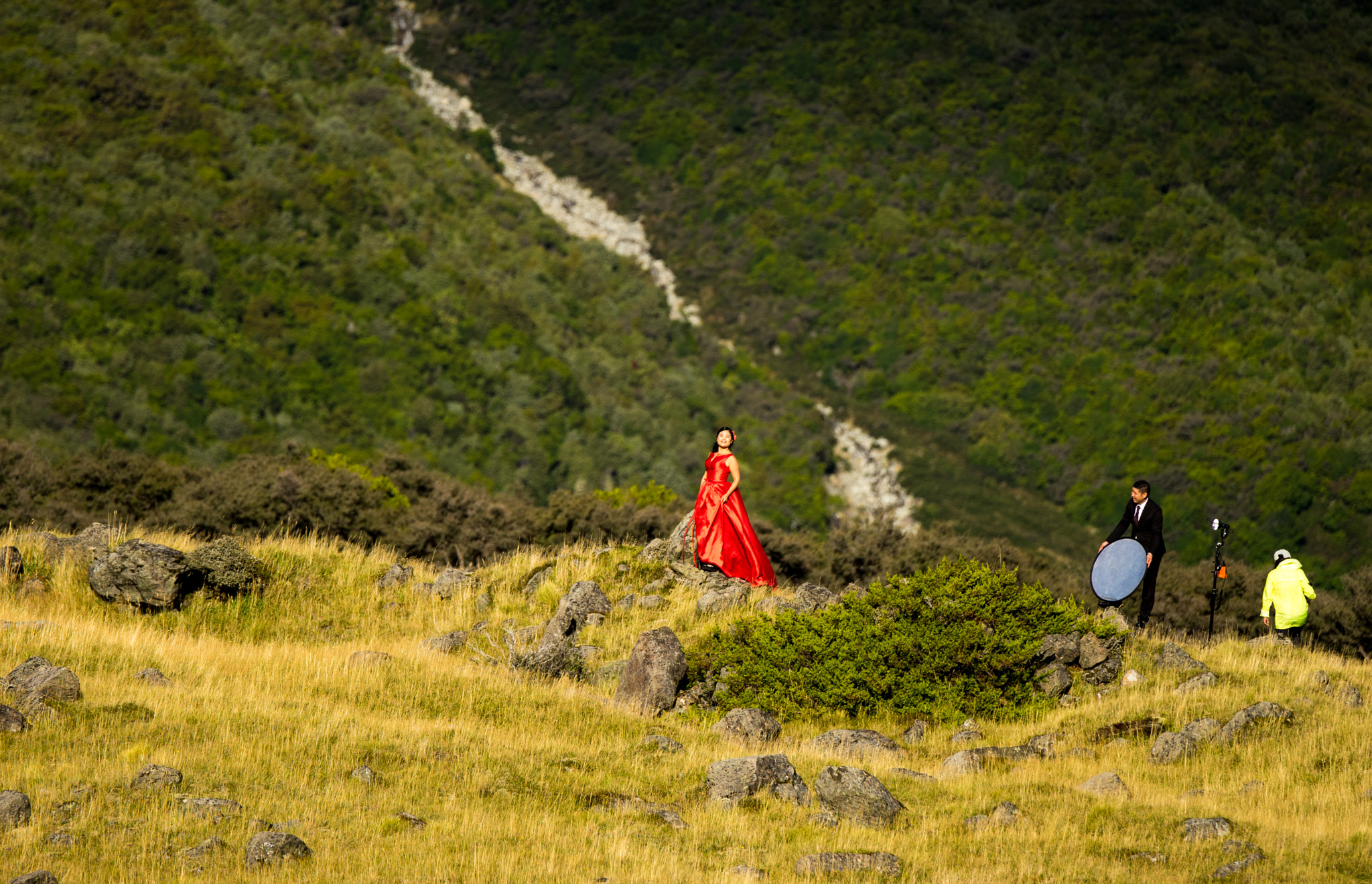 Sony 70-400mm F4-5.6 G SSM II sample photo. Red in green photography